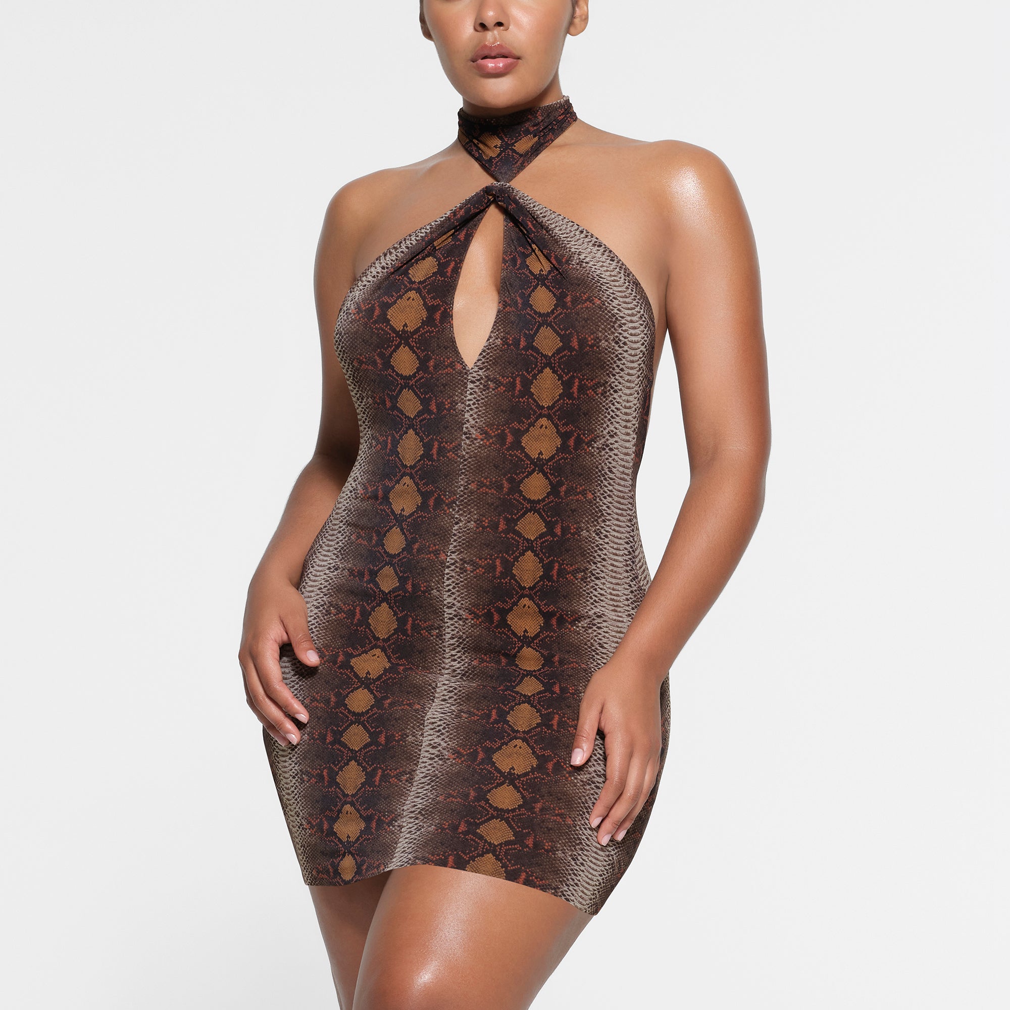 Mesh snake print dress hotsell