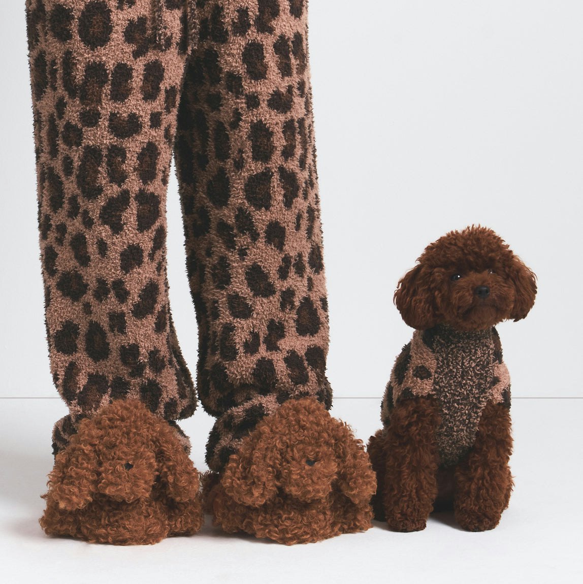 DOG SLIPPER | CHAI FLAT ON A WHITE BACKGROUND | FLT @ | FOCUS: 0.0, 1.0, 0.9