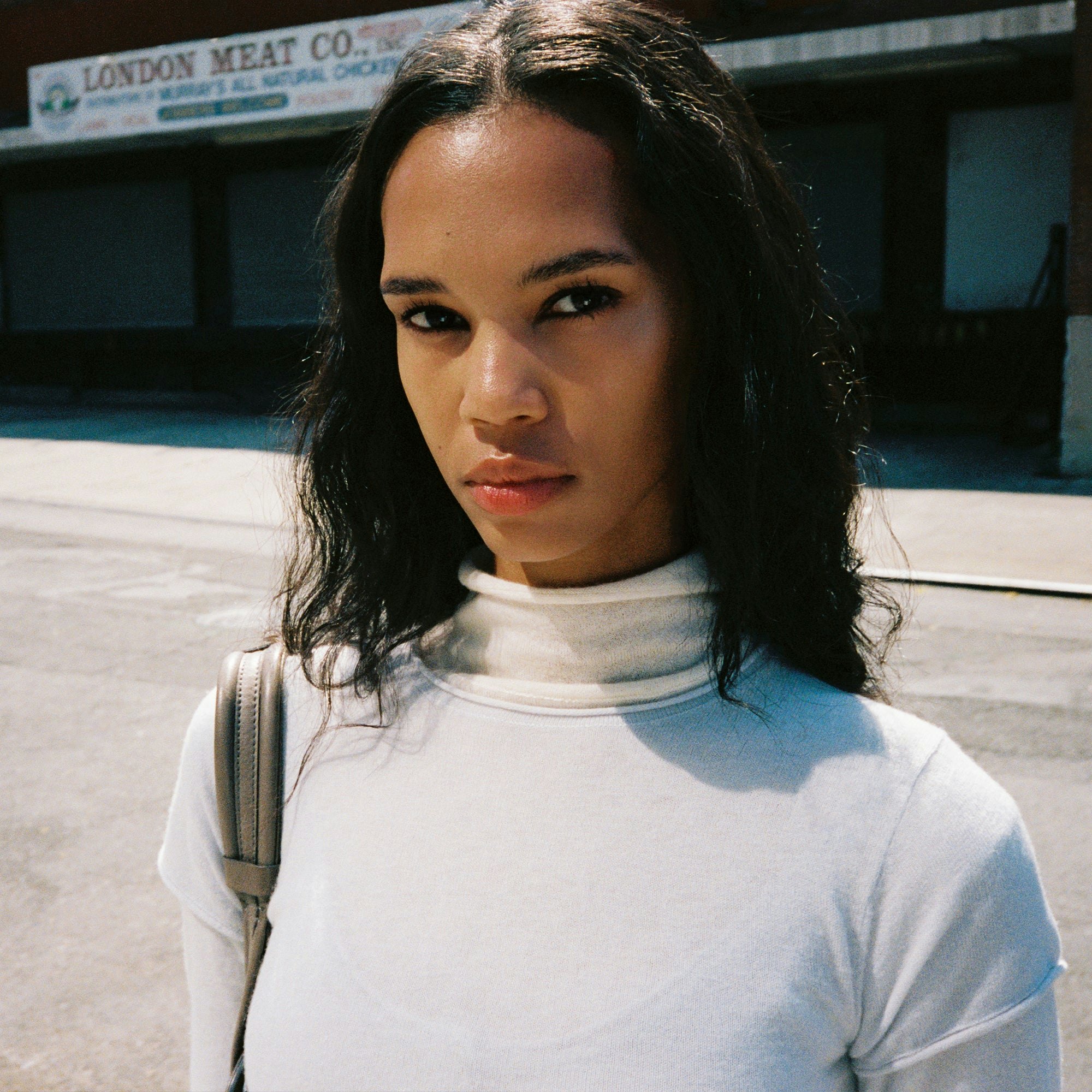 FEATHERWEIGHT CASHMERE TURTLENECK | EGRET ADDITIONAL FABRIC DETAILS | about this fabric