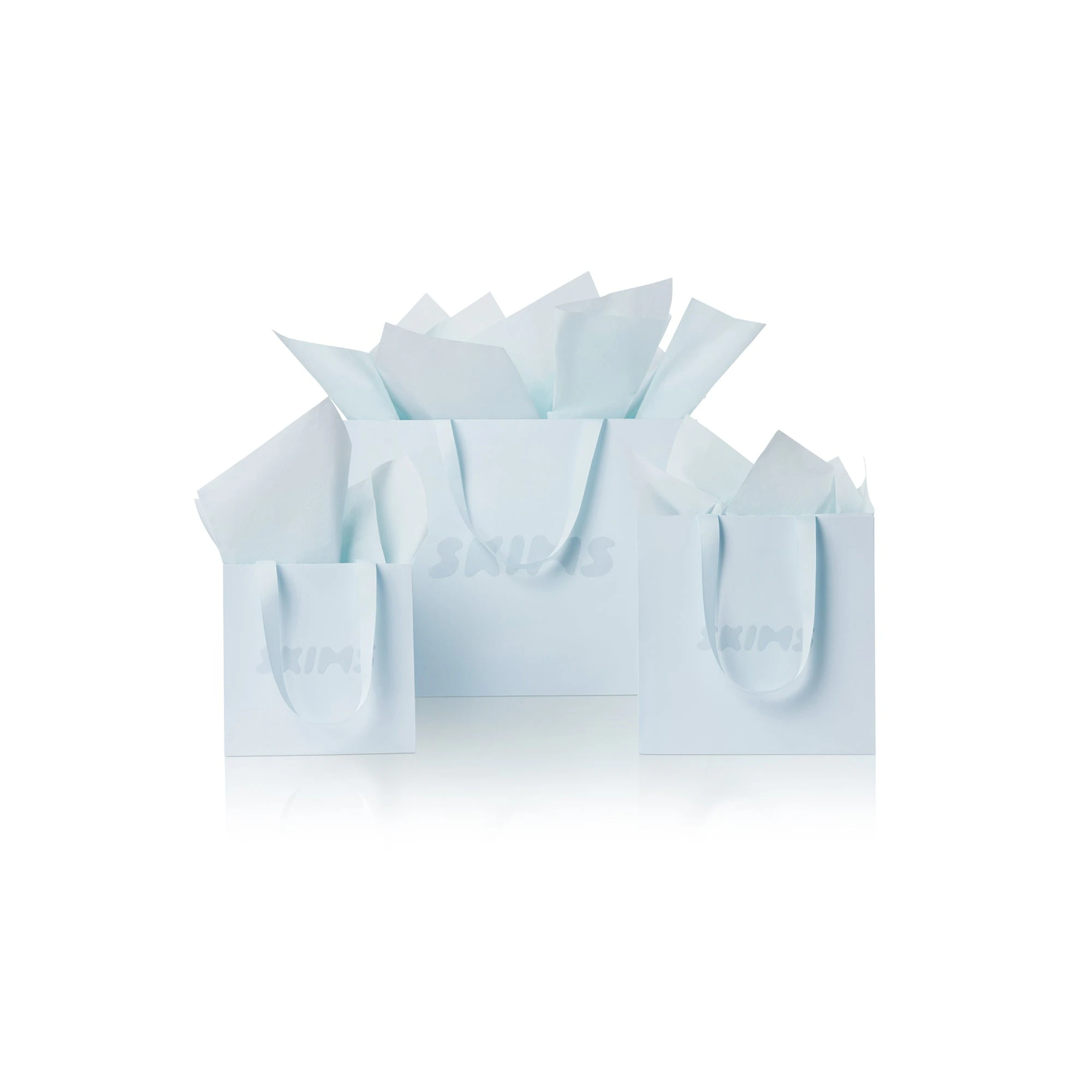 GIFT BAG | BABY BLUE LAYS FLAT ON A WHITE BACKGROUND FOCUS: 0.0, 1.0, 0.9
