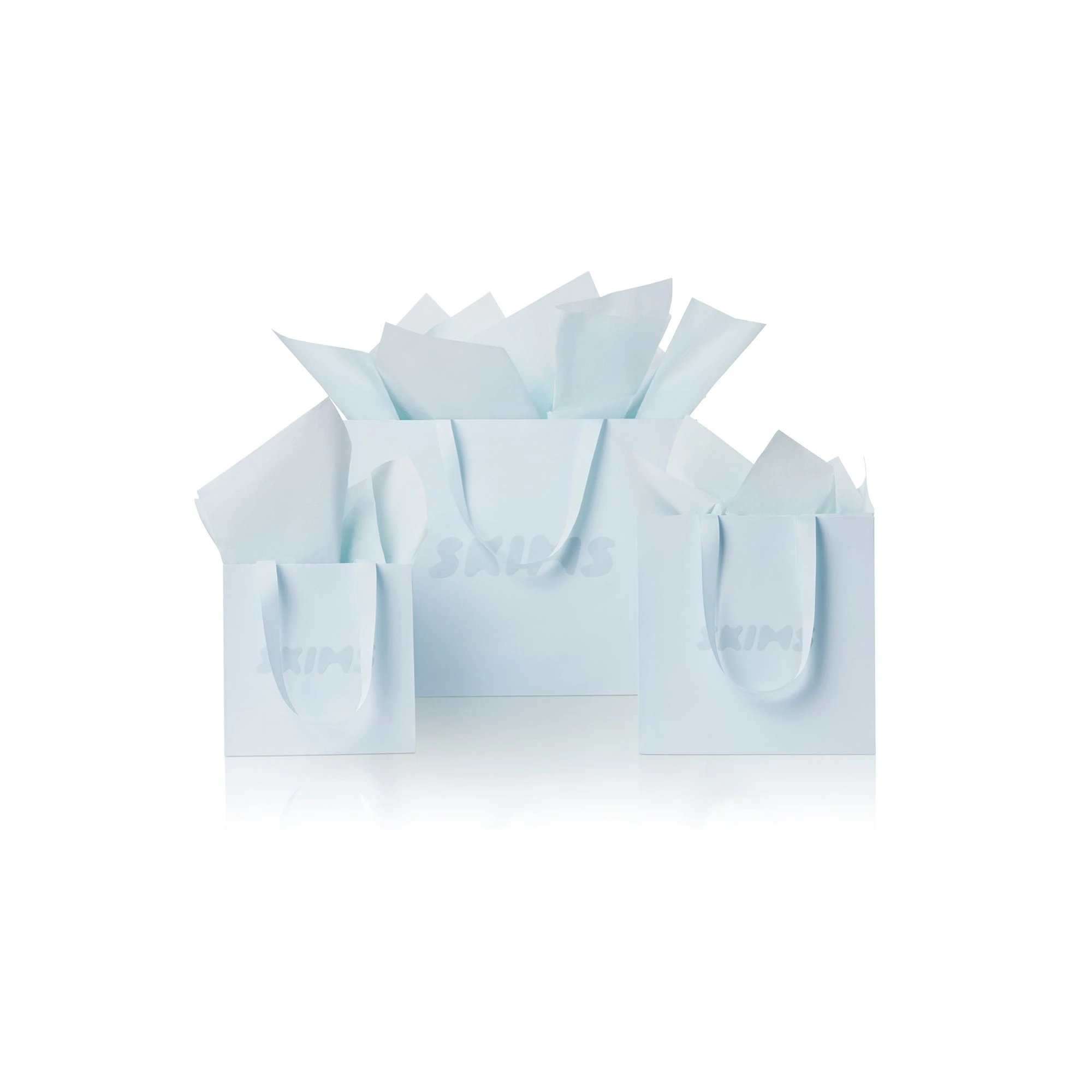 GIFT BAG | BABY BLUE LAYS FLAT ON A WHITE BACKGROUND FOCUS: 0.0, 1.0, 0.9