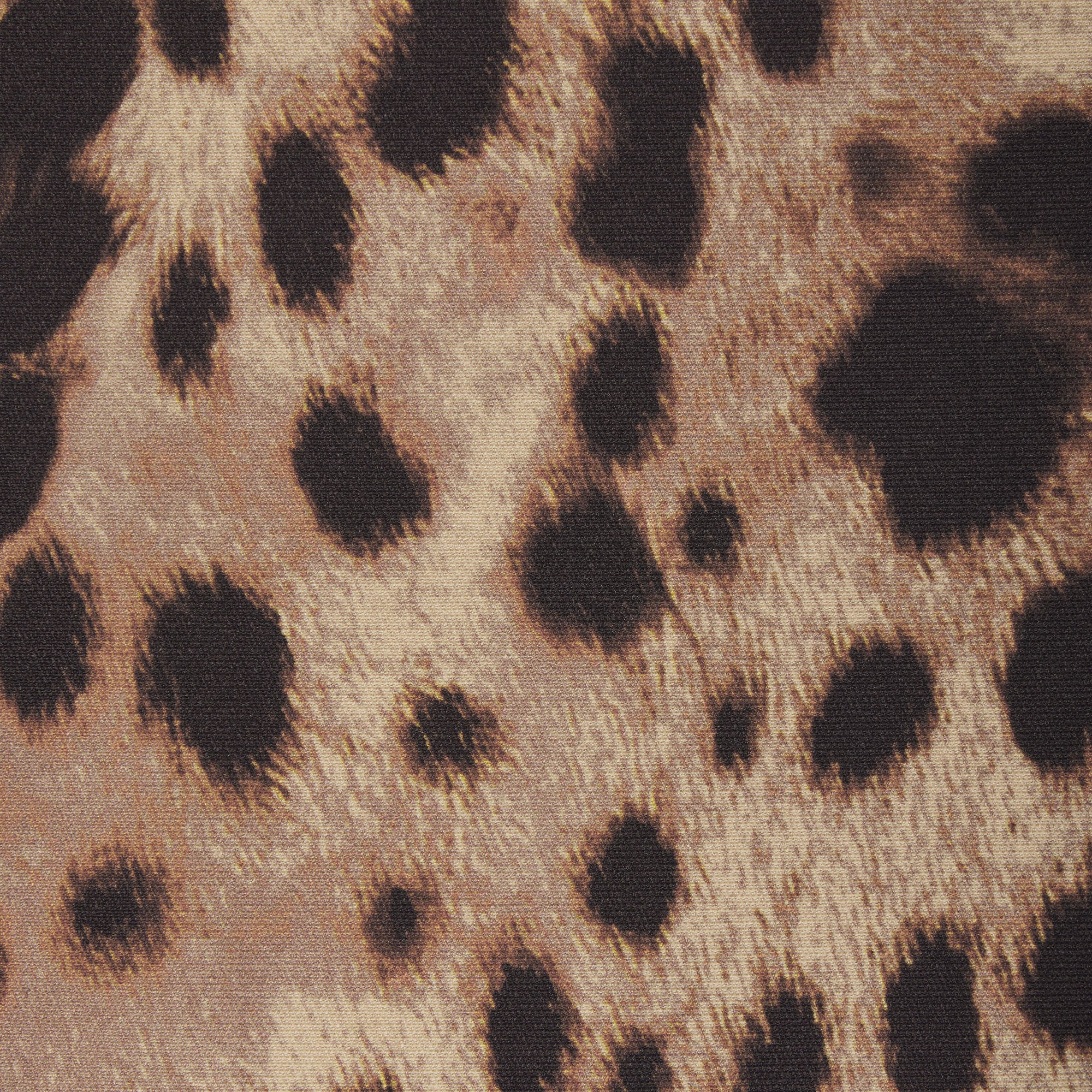 DOLCE&GABBANA X SKIMS SKIMS BODY BUSTIER | LEOPARD DOLCE&GABBANA X SKIMS SKIMS BODY BUSTIER | LEOPARD