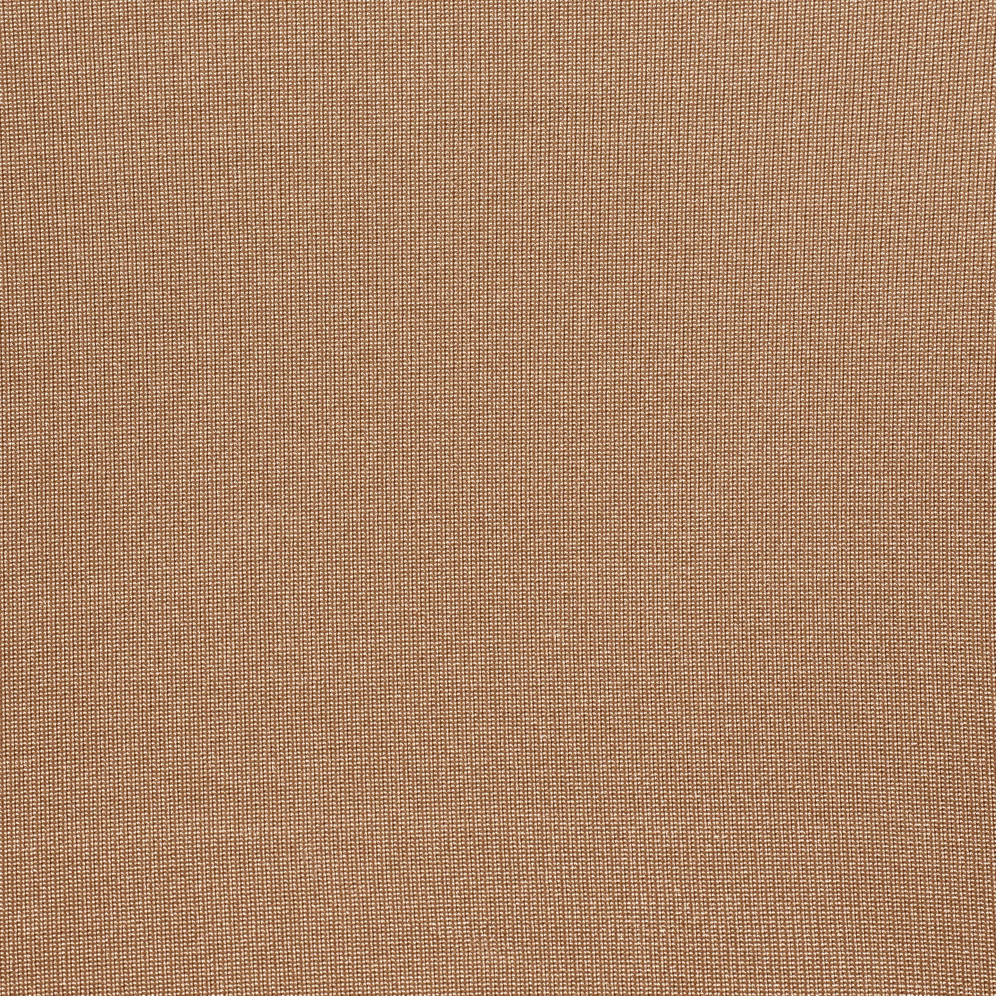 SKIMS BODY CORE SCULPT WAIST CINCHER THONG | CLAY ADDITIONAL FABRIC DETAILS