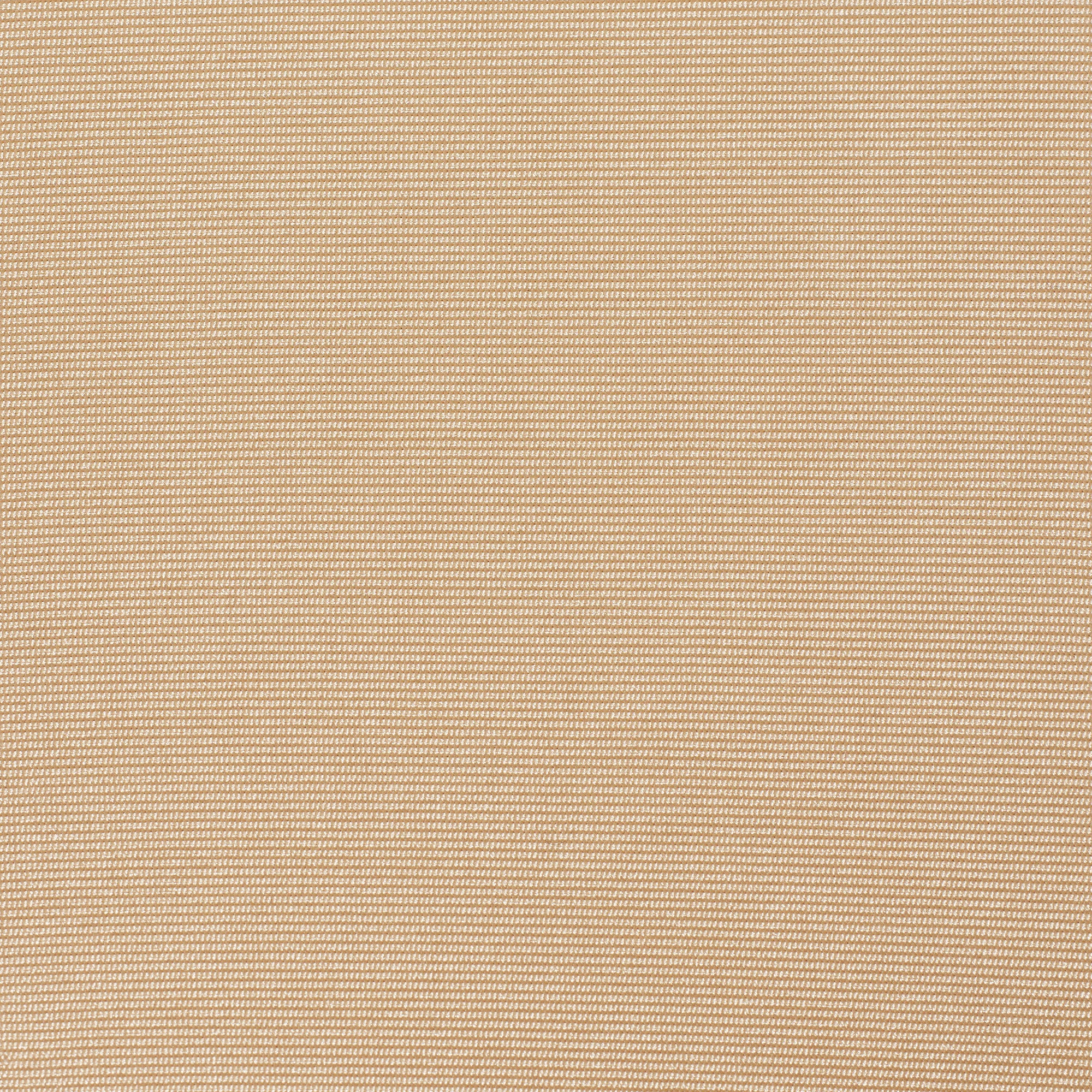 SKIMS BODY CORE SCULPT WAIST CINCHER THONG | SAND ADDITIONAL FABRIC DETAILS