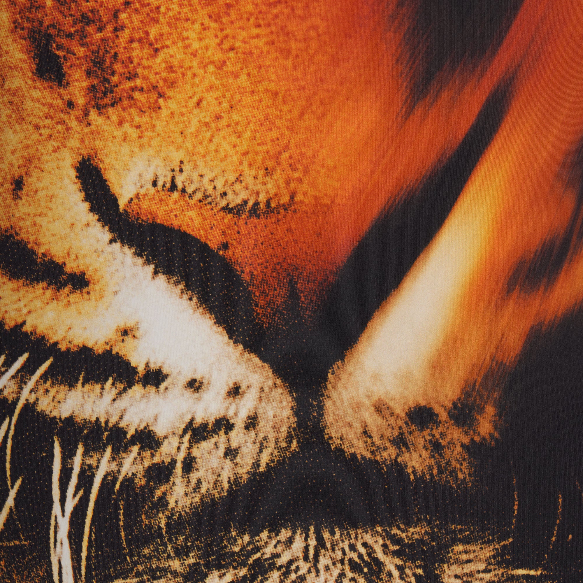 ROBERTO CAVALLI X SKIMS TIE WAIST ONE PIECE | TIGER FACE PRINT