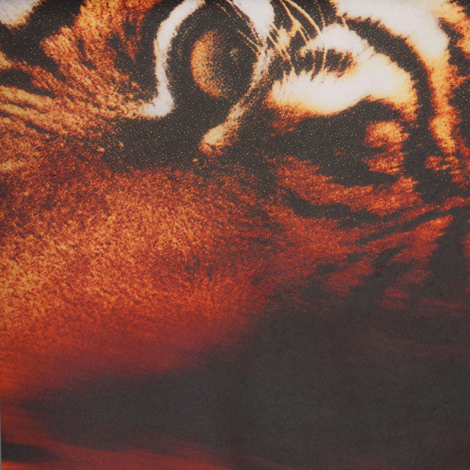 SKIMS-ROBERTO-CAVALLI-TIGER-FACE-PRINT SWATCH