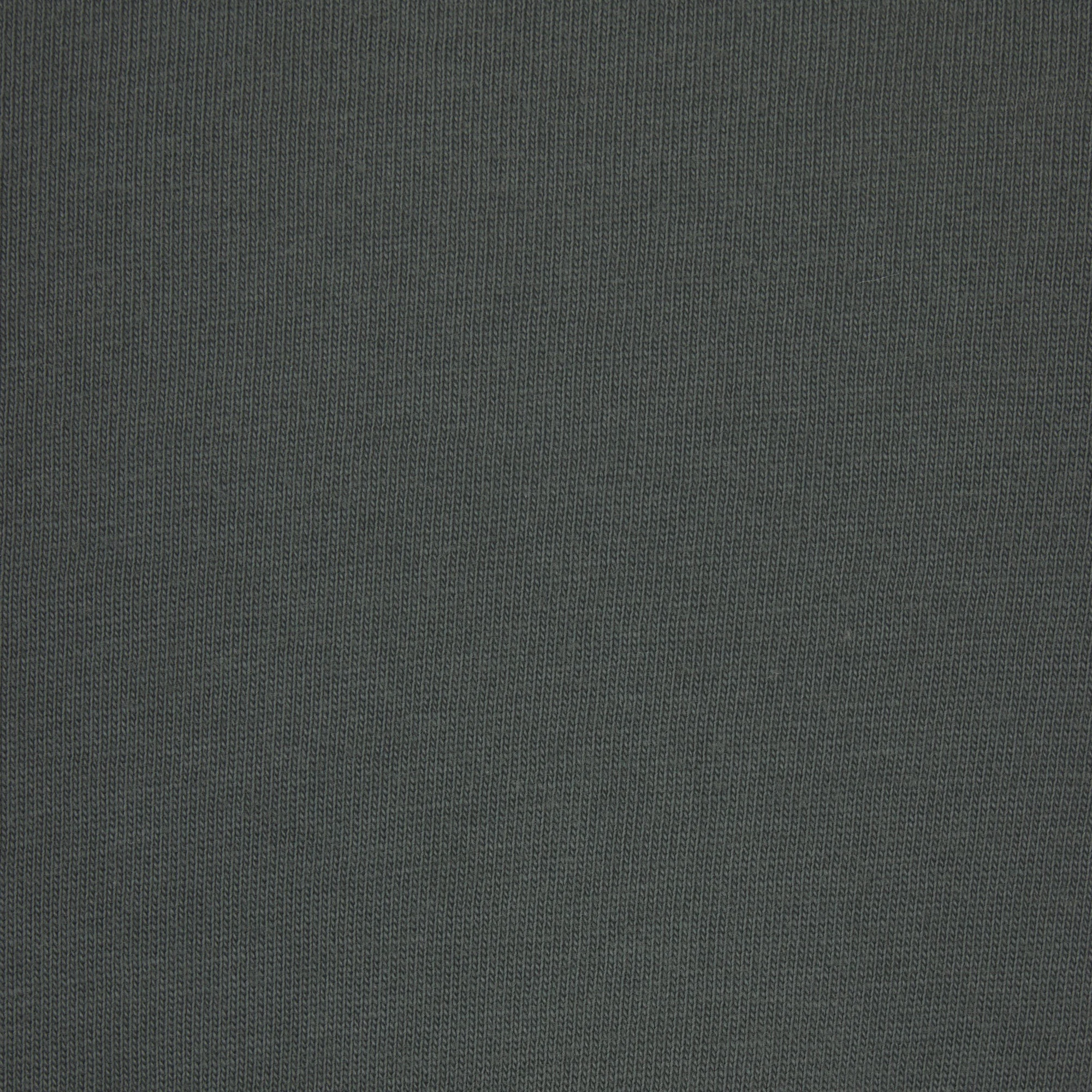 SKIMS COTTON MENS CLASSIC T-SHIRT | DEEP SEA (MENS T-SHIRTS) ON A MODEL FRONT VIEW