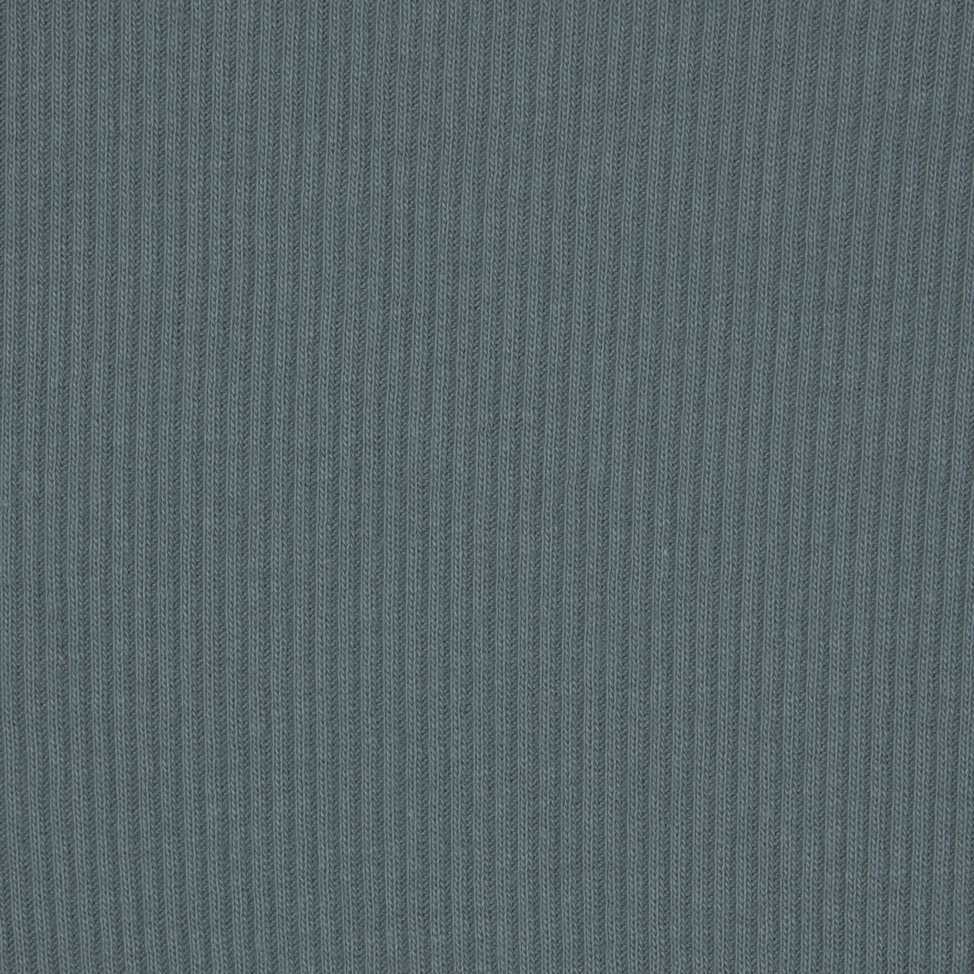 COTTON RIB THONG ADDITIONAL FABRIC DETAILS | about this fabric