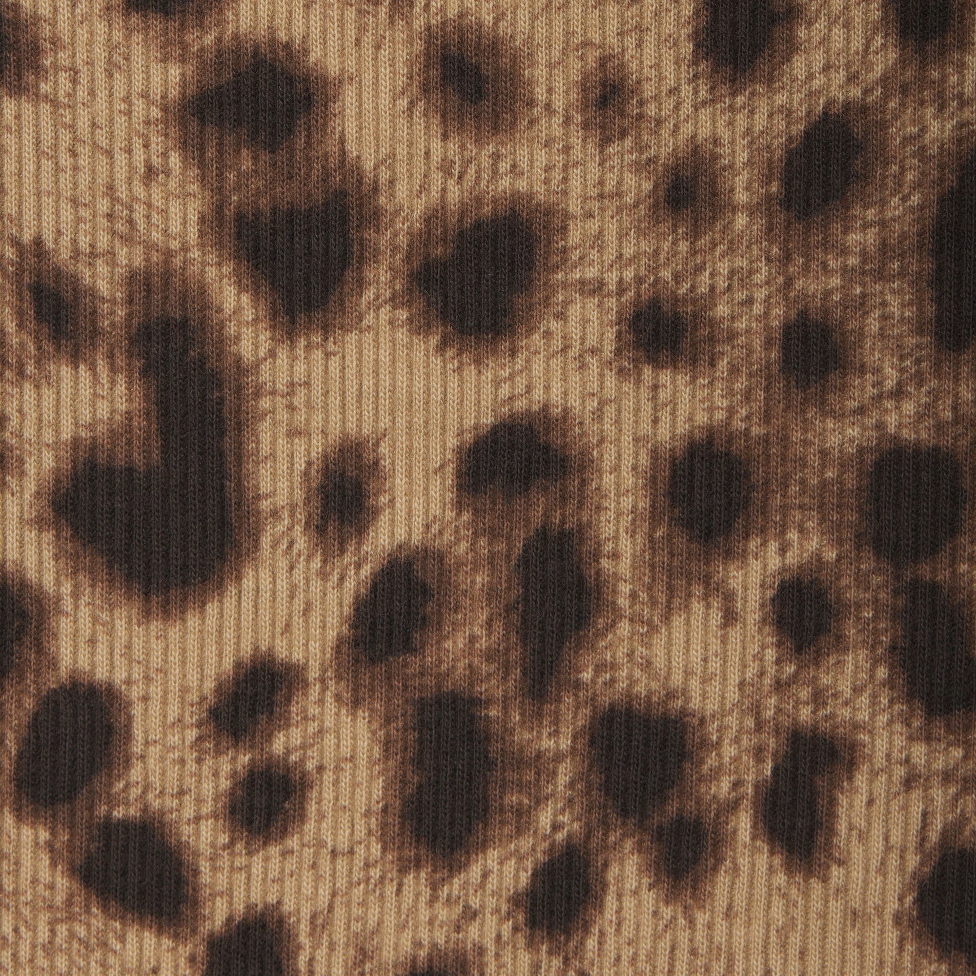 DOLCE&GABBANA X SKIMS COTTON RIB | LEOPARD | about this fabric 