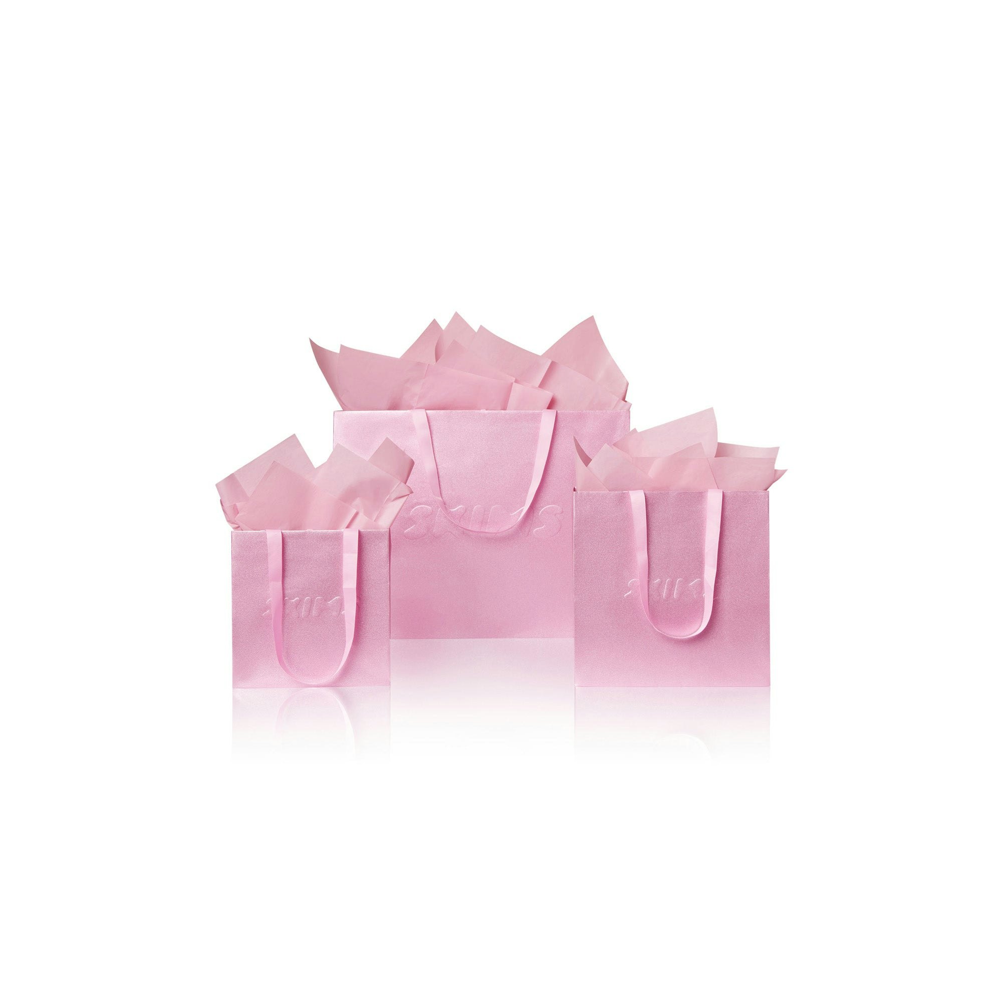 gift bag  | FOCUS: 0.0, 1.0, 0.9