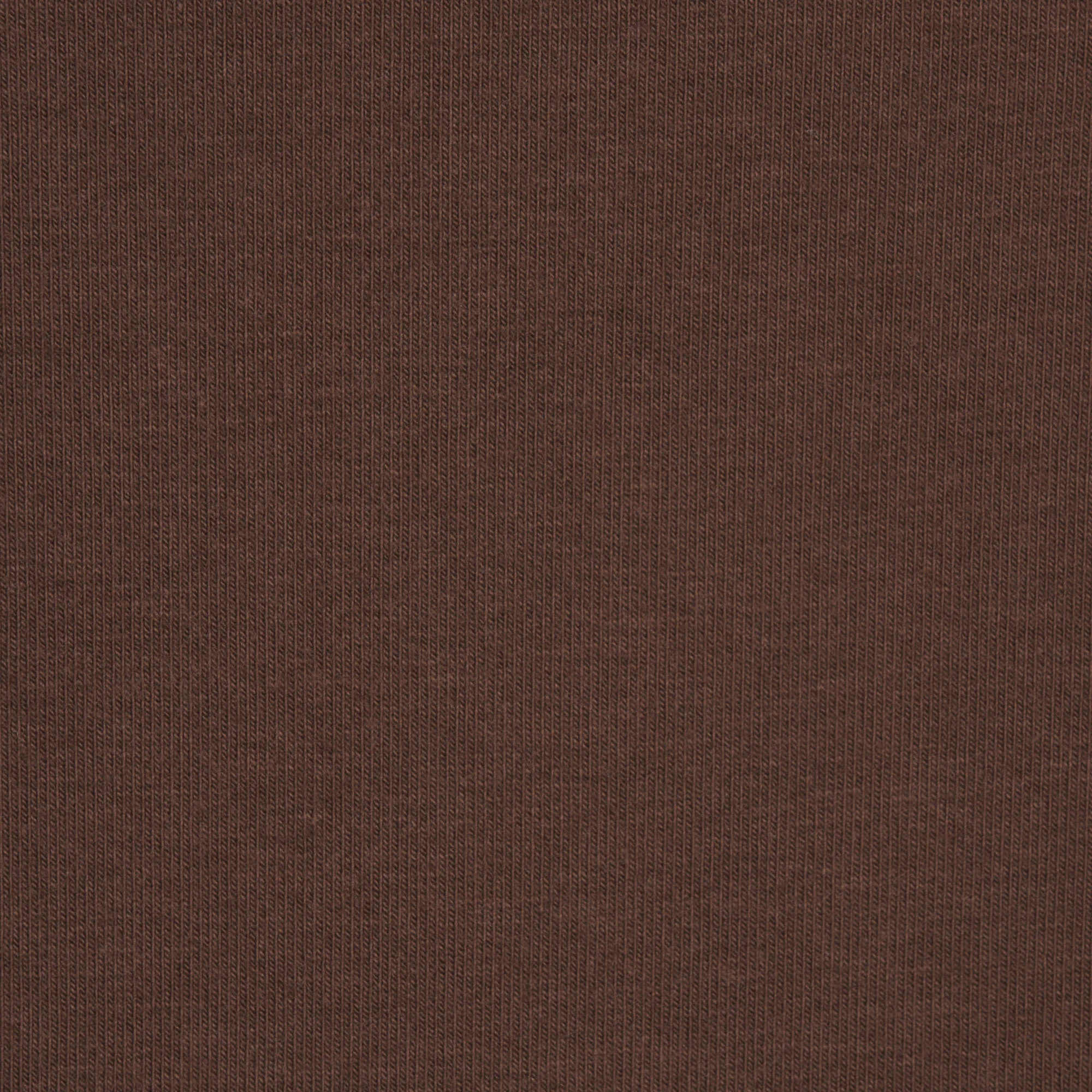 HOSIERY SHAPING TIGHTS | COCOA (MENS SWEATSHIRTS) FLAT ON A WHITE BACKGROUND | FLT