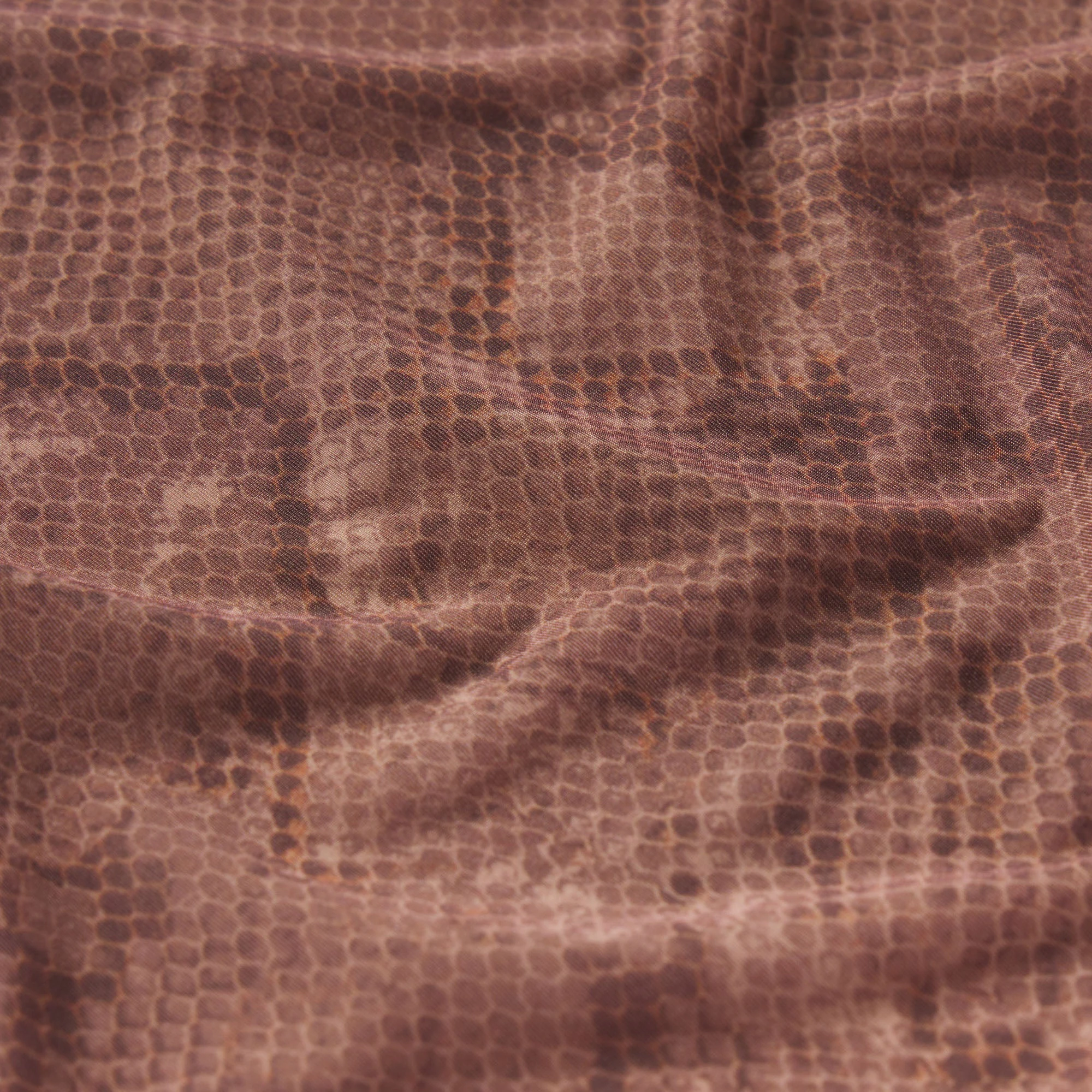 MILKY SHEER THONG | JASPER SNAKE PRINT ADDITIONAL FABRIC DETAILS