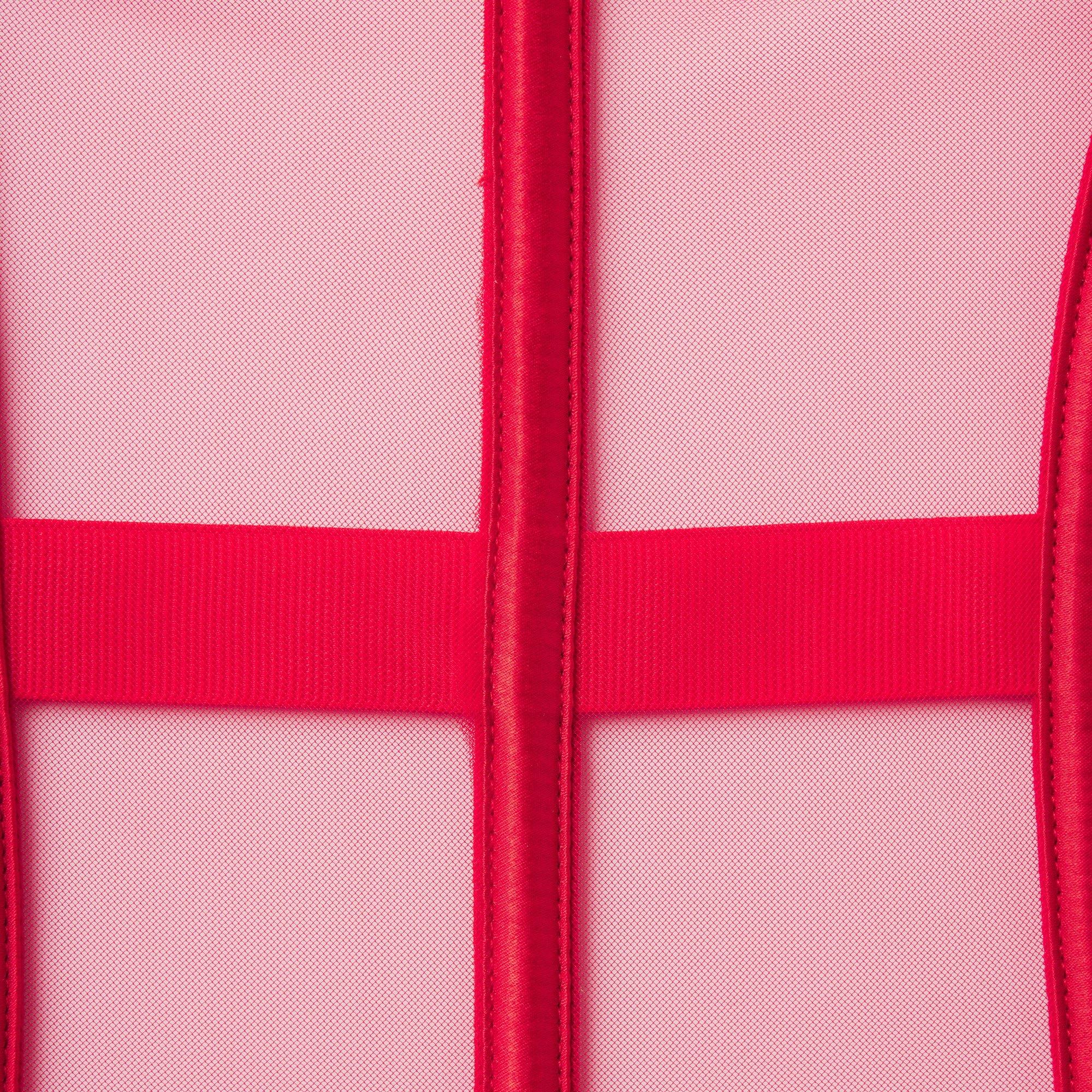 TULLE GARTER CORSET | RED FLAT ON A WHITE BACKGROUND | FLT
