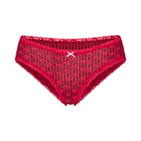 LIGHTWEIGHT COTTON POINTELLE LACE BRIEF