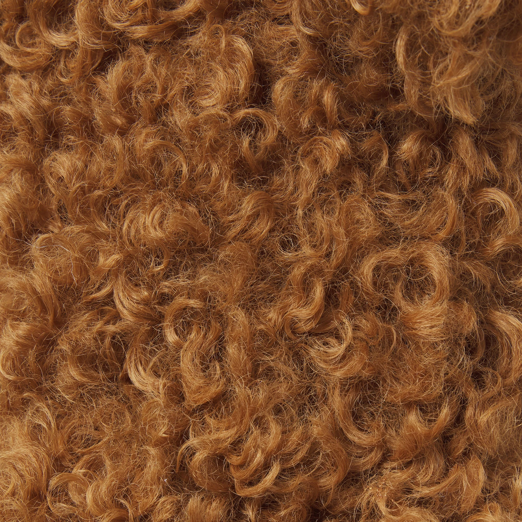 DOG SLIPPER | CHAI FLAT ON A WHITE BACKGROUND | FLT