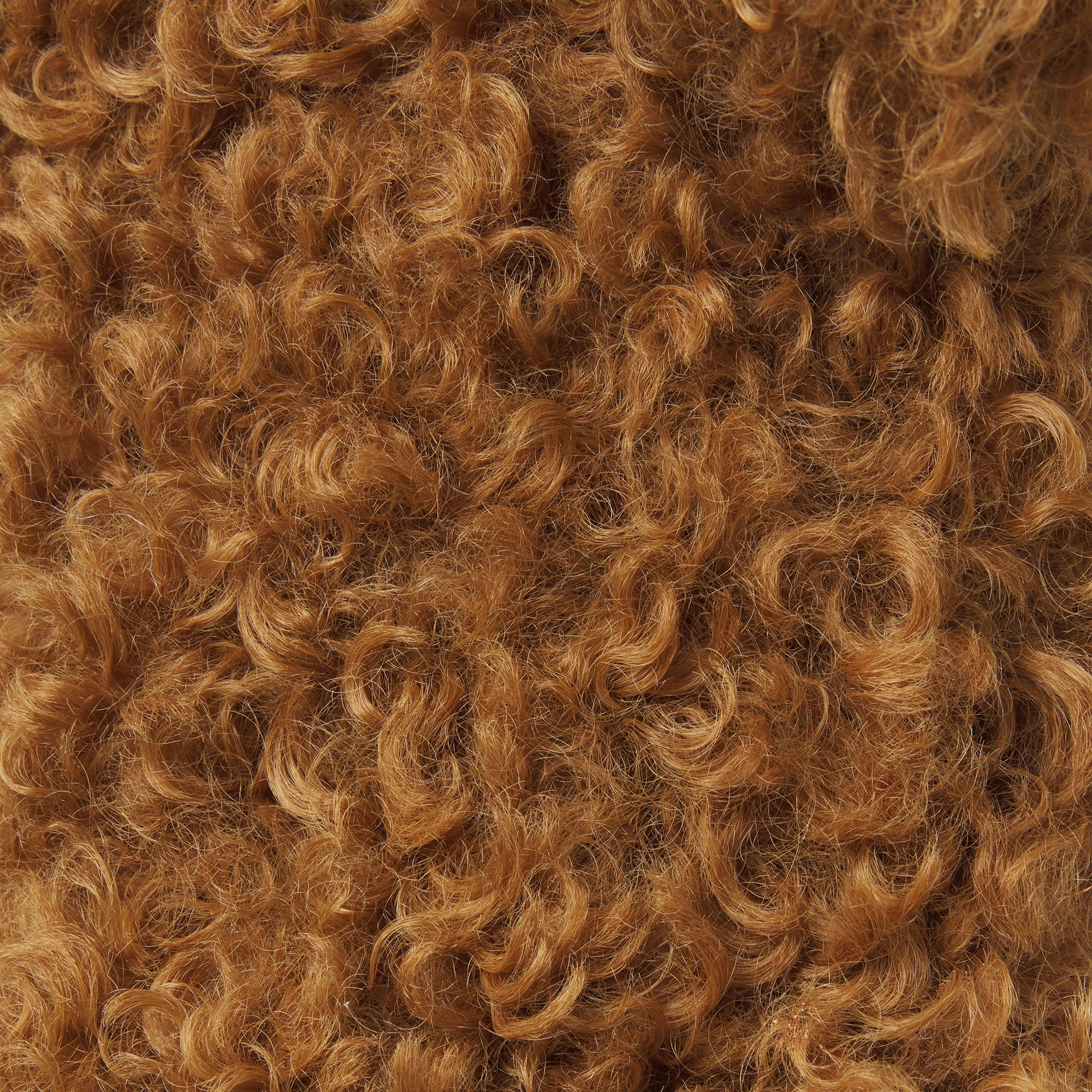 DOG SLIPPER | CHAI FLAT ON A WHITE BACKGROUND | FLT