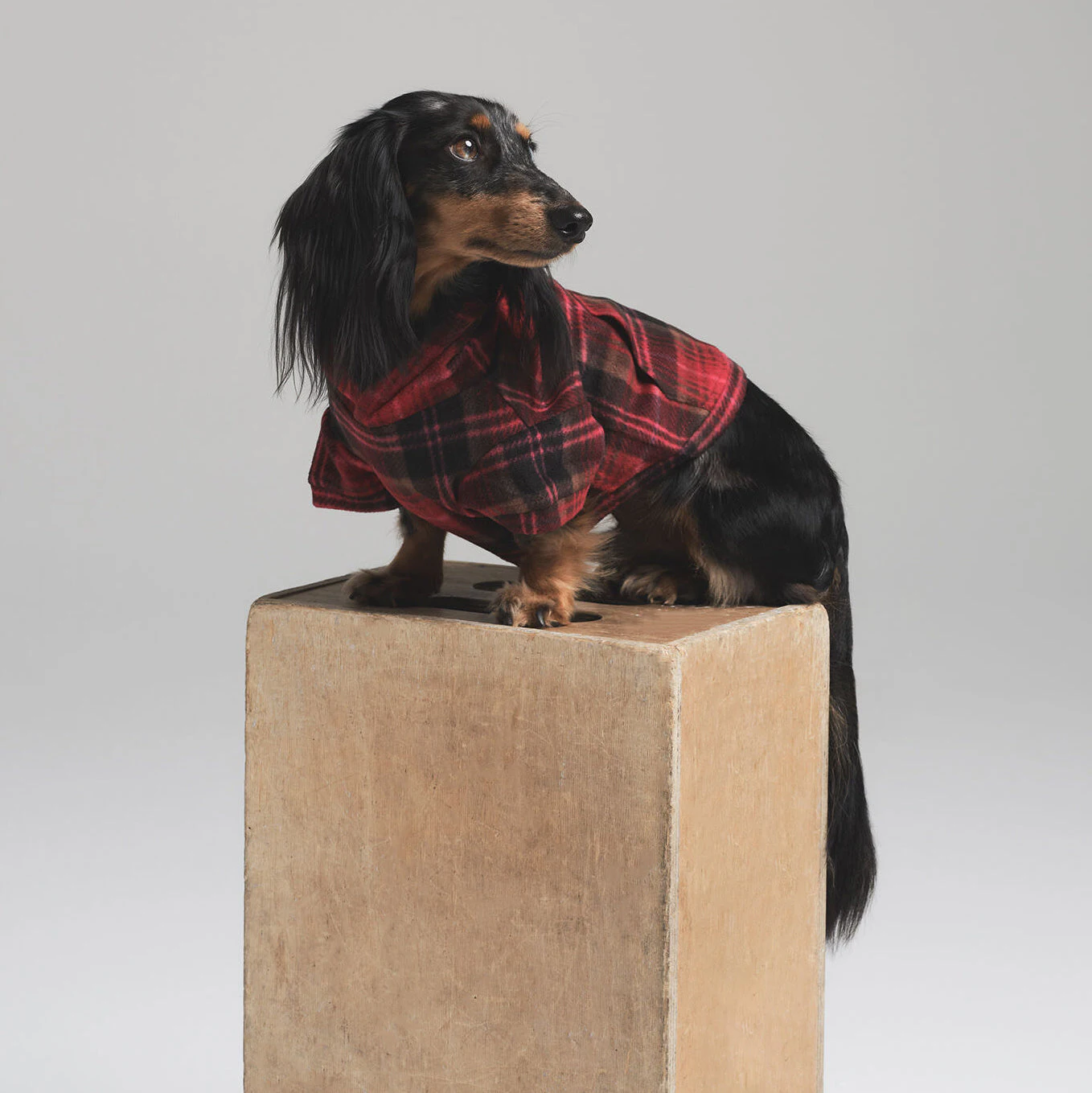 FLEECE SLEEP PET HOODIE | CRANBERRY PLAID ON A MODEL SIDE VIEW