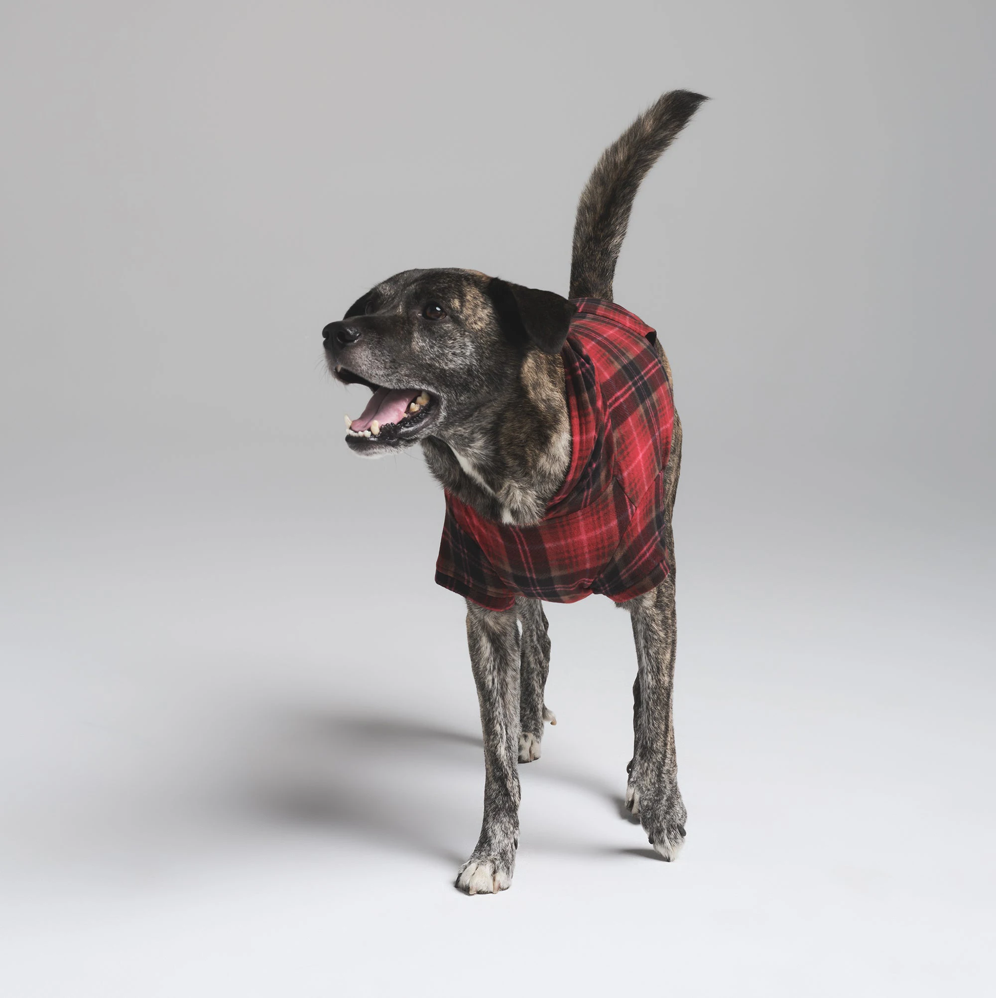 FLEECE SLEEP PET HOODIE | CRANBERRY PLAID ON A MODEL FRONT VIEW