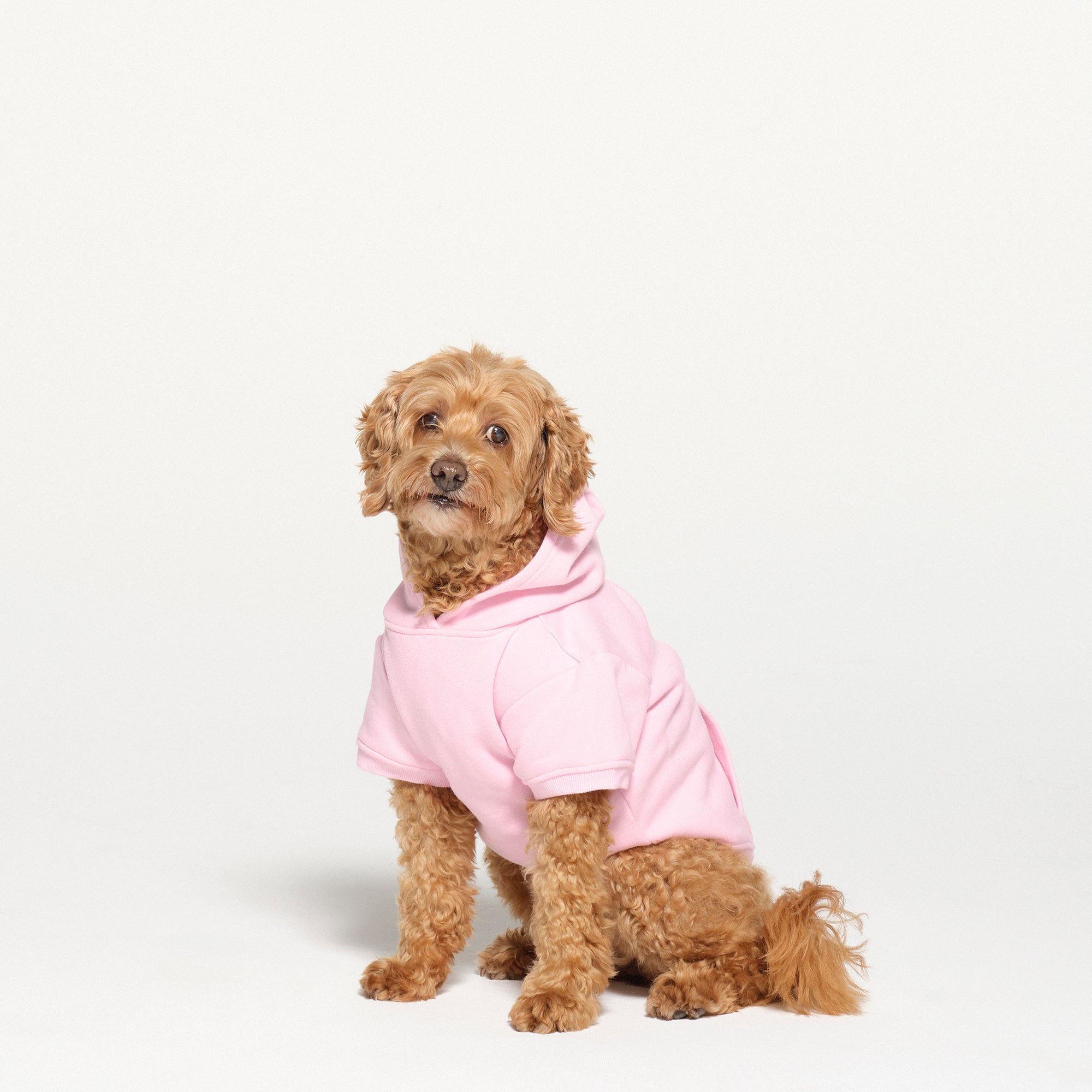 COTTON FLEECE PET HOODIE BABY PINK