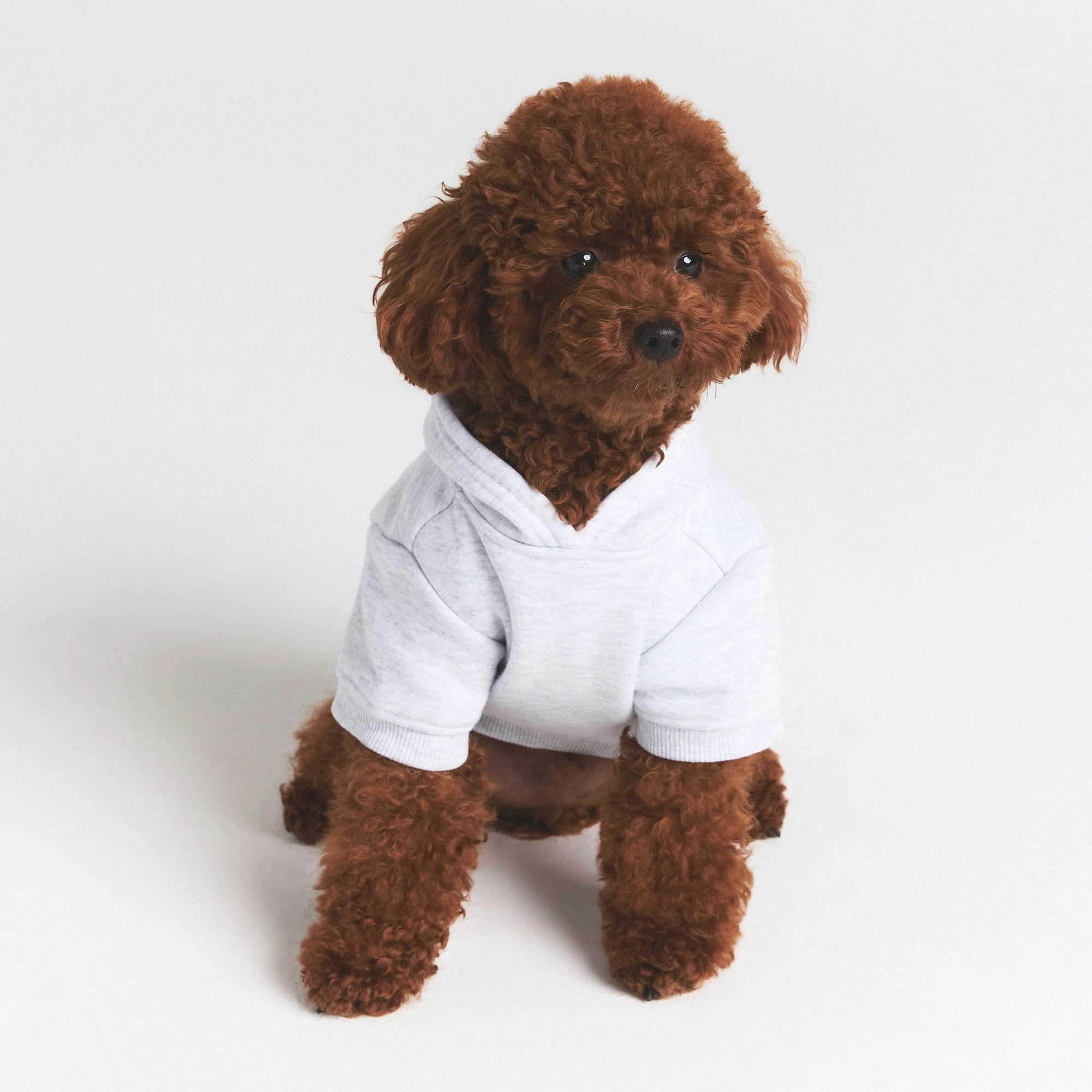 COTTON FLEECE PET HOODIE | LIGHT HEATHER GREY LOGO HEART ON A MODEL FRONT VIEW @ | FOCUS: 0.0, 1.0, 0.9