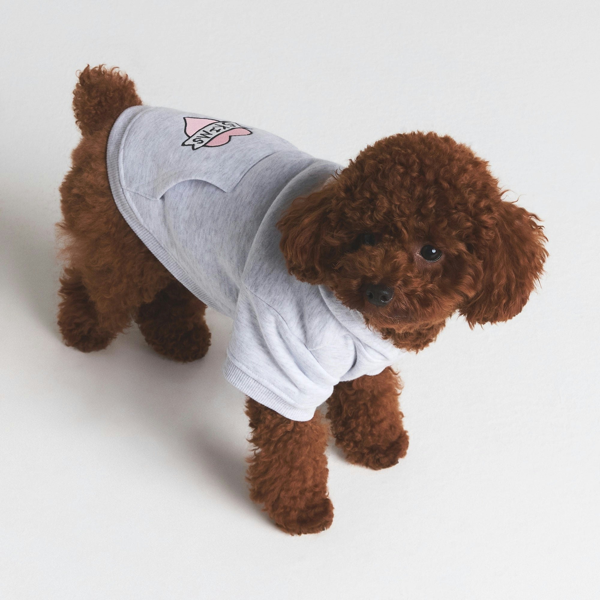 COTTON FLEECE PET HOODIE | LIGHT HEATHER GREY LOGO HEART ON A MODEL FRONT VIEW @ | FOCUS: 0.0, 1.0, 0.9