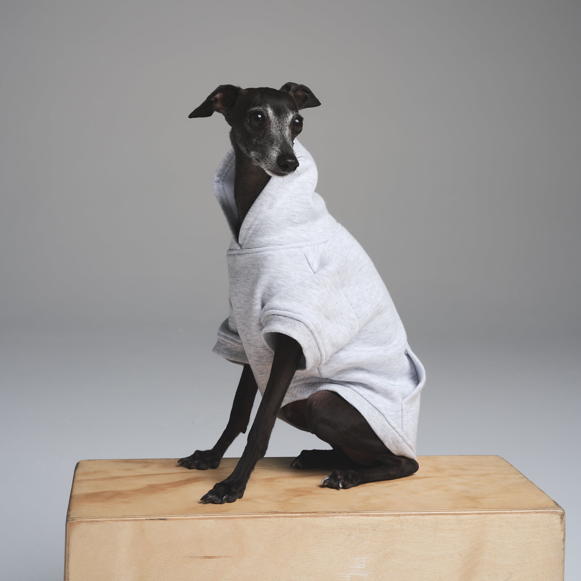 gray life shop スウェット　ダルメシアン　犬dog sweat gray life shop スウェットダルメシアン犬dog sweat