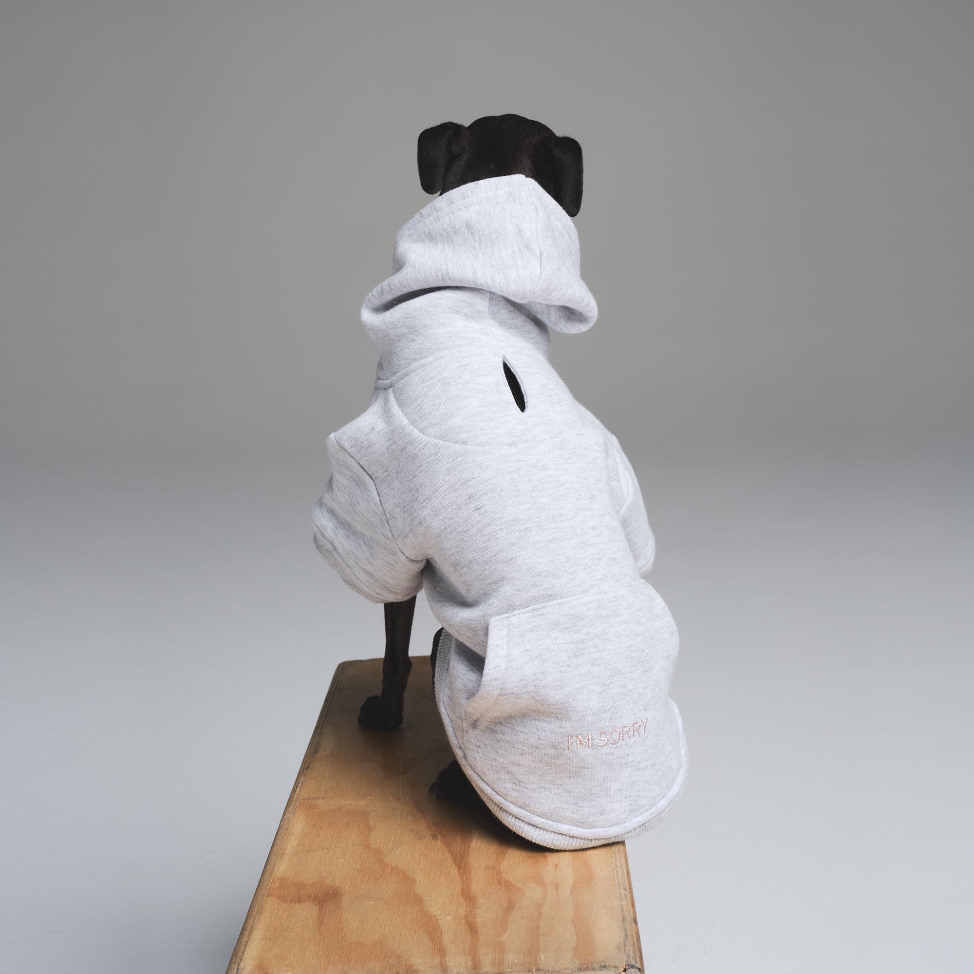 gray life shop スウェット　ダルメシアン　犬dog sweat セール】dogプリント裏起毛トレーナー（スウェット）｜SHEENA
