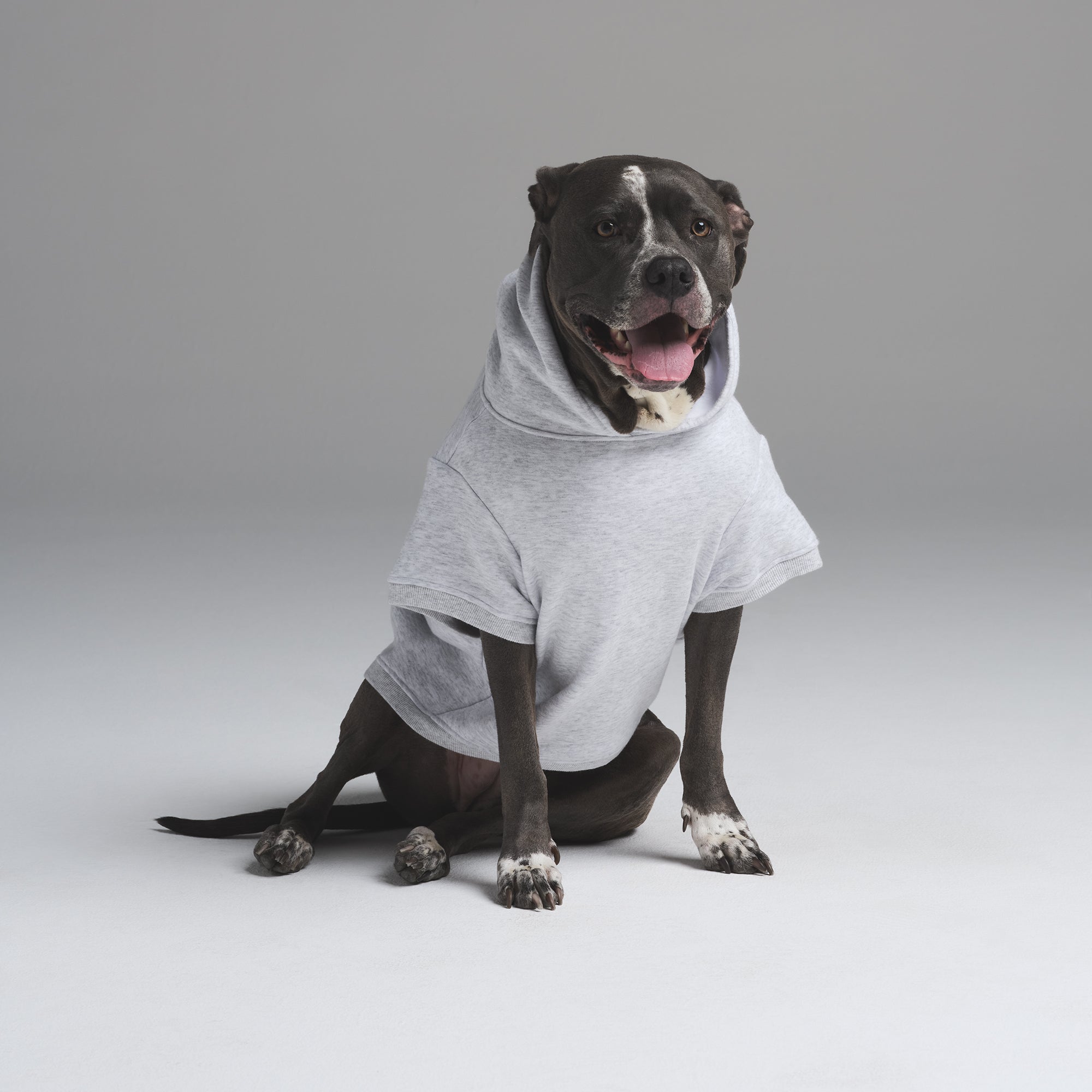 gray life shop スウェット　ダルメシアン　犬dog sweat gray life shop スウェット ダルメシアン 犬dog sweat
