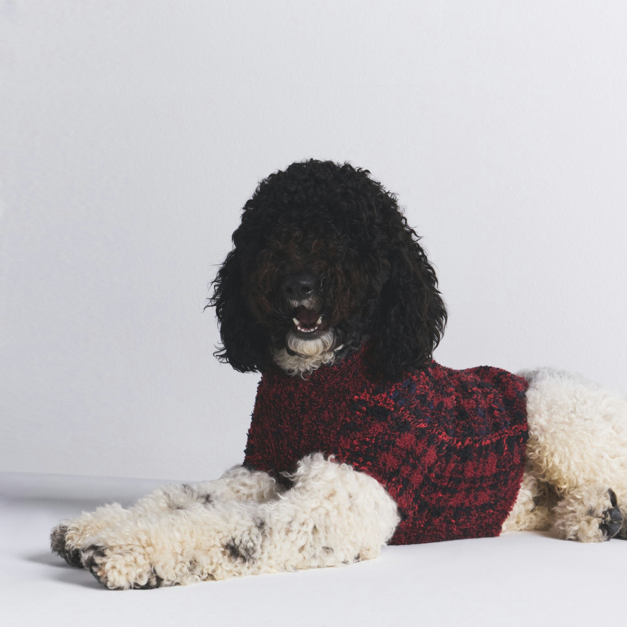 COZY KNIT PET SWEATER | BRICK BUFFALO CHECK ON A MODEL SIDE VIEW