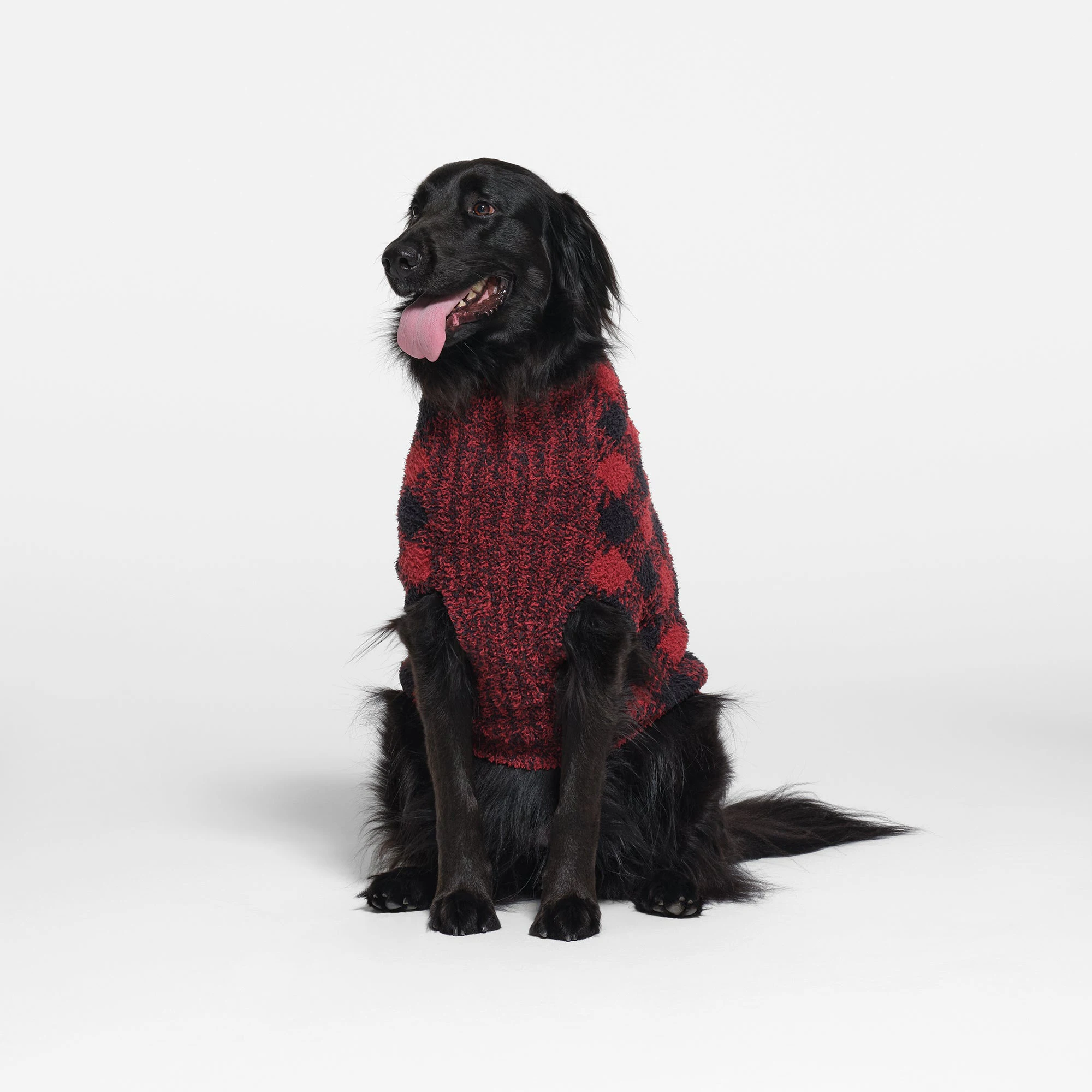 COZY KNIT PET SWEATER | BRICK BUFFALO CHECK ON A MODEL FRONT VIEW