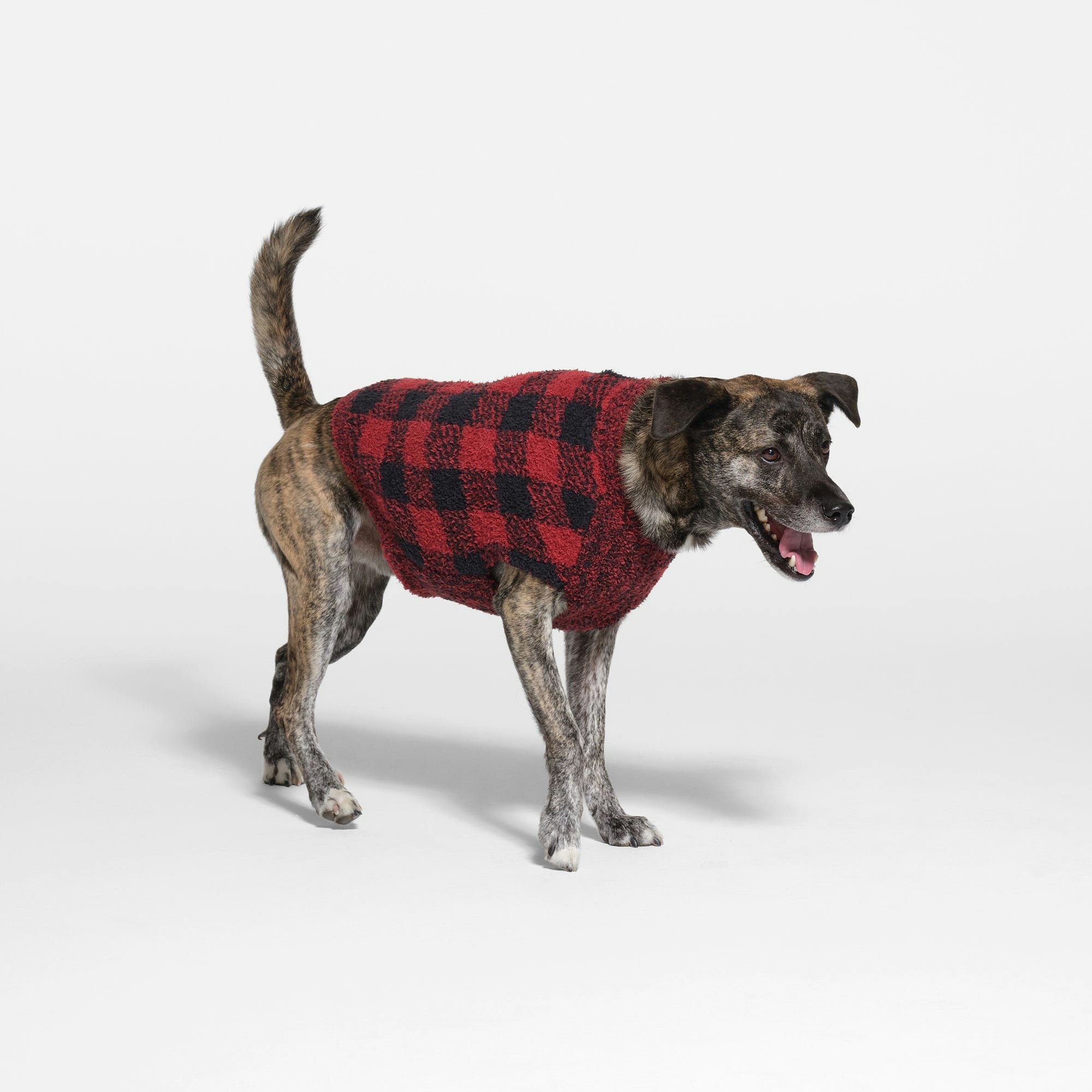 COZY KNIT PET SWEATER | BRICK BUFFALO CHECK ON A MODEL SIDE VIEW