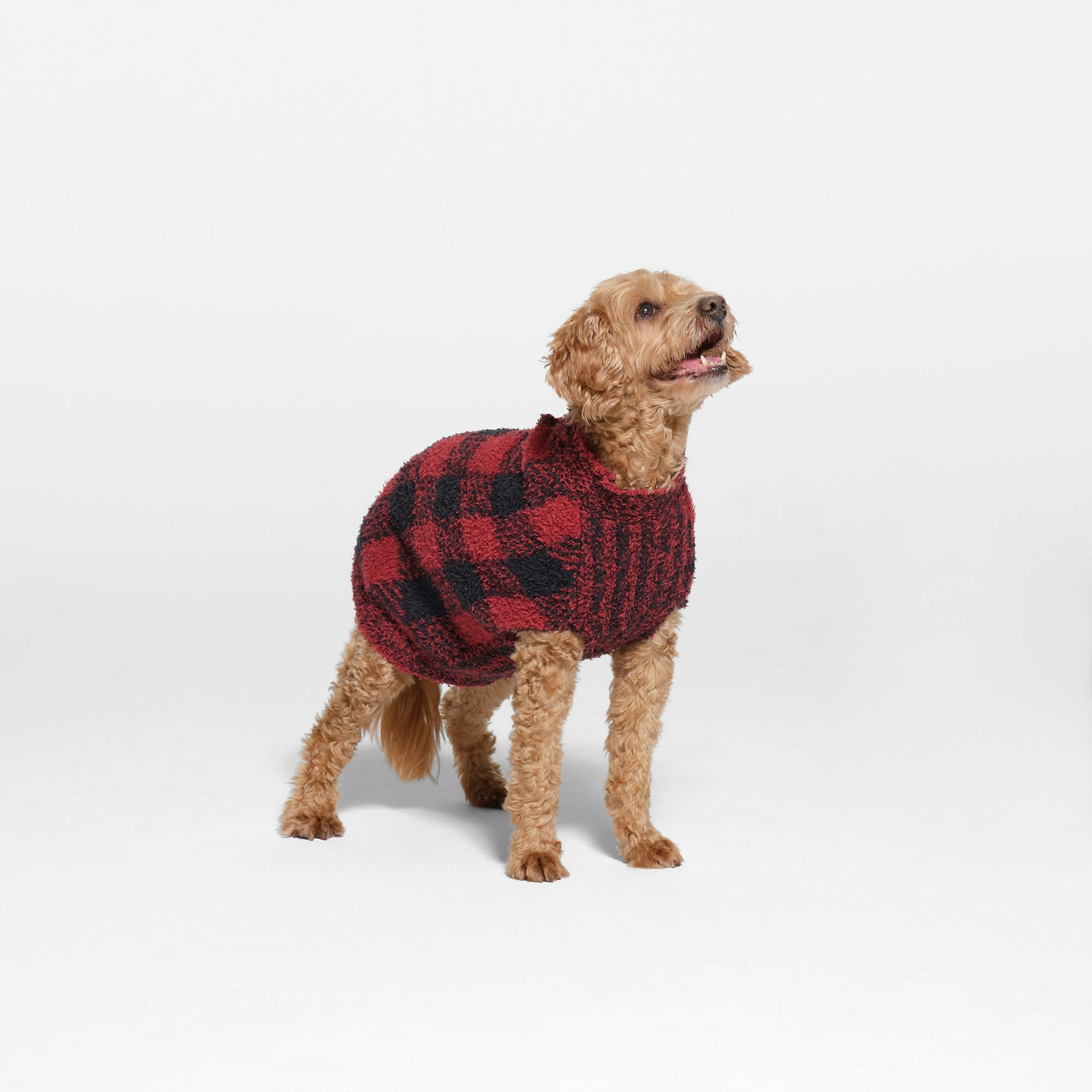 COZY KNIT PET SWEATER | BRICK BUFFALO CHECK ON A MODEL SIDE VIEW