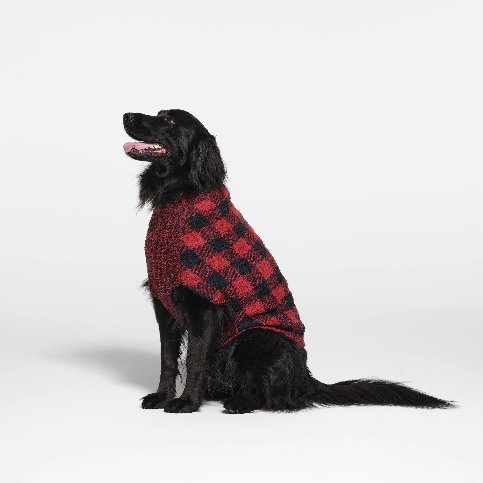 COZY KNIT PET SWEATER | BRICK BUFFALO CHECK ON A MODEL SIDE VIEW