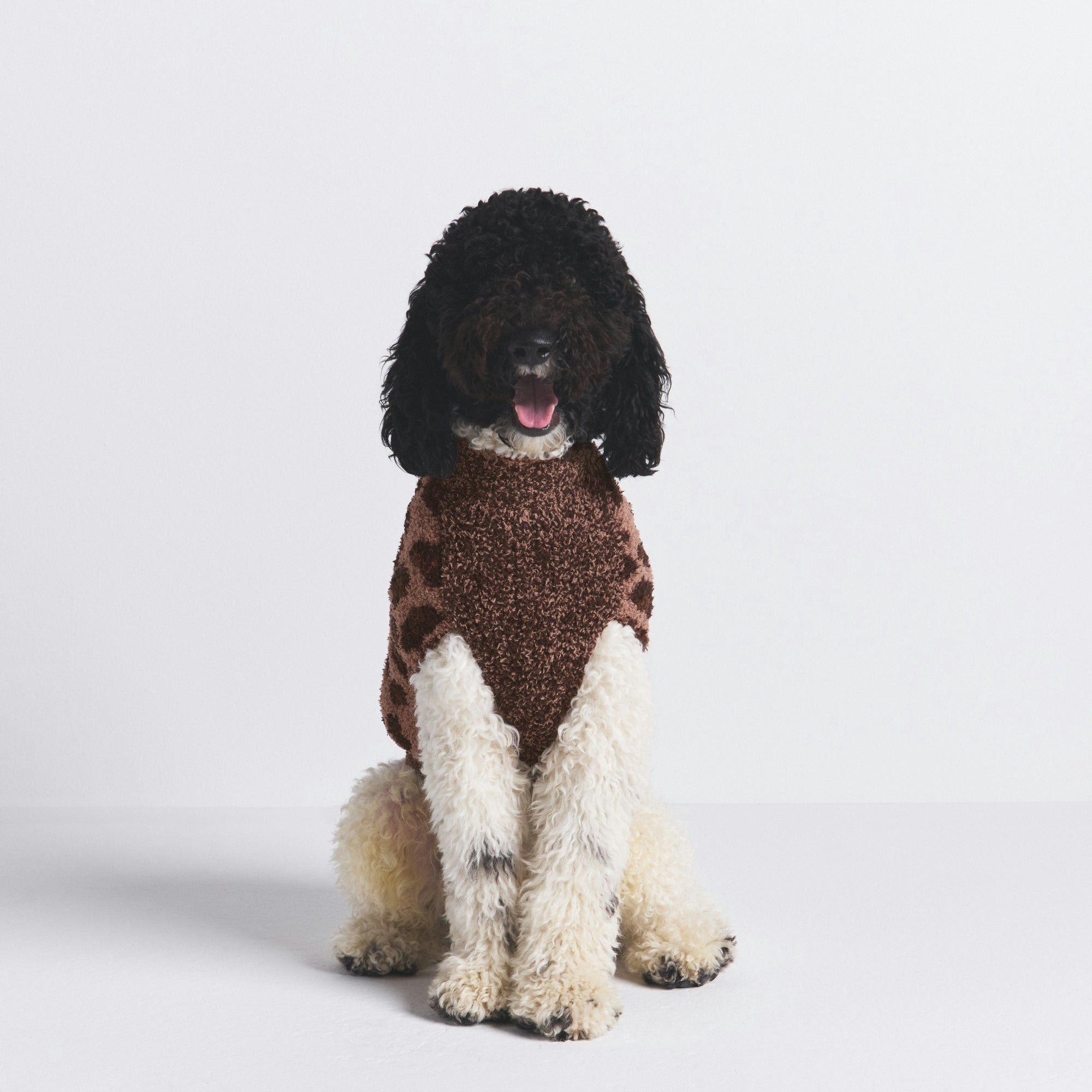 COZY KNIT PET SWEATER | SIENNA LEOPARD PRINT ON A MODEL FRONT VIEW @ | FOCUS: 0.0, 1.0, 0.9