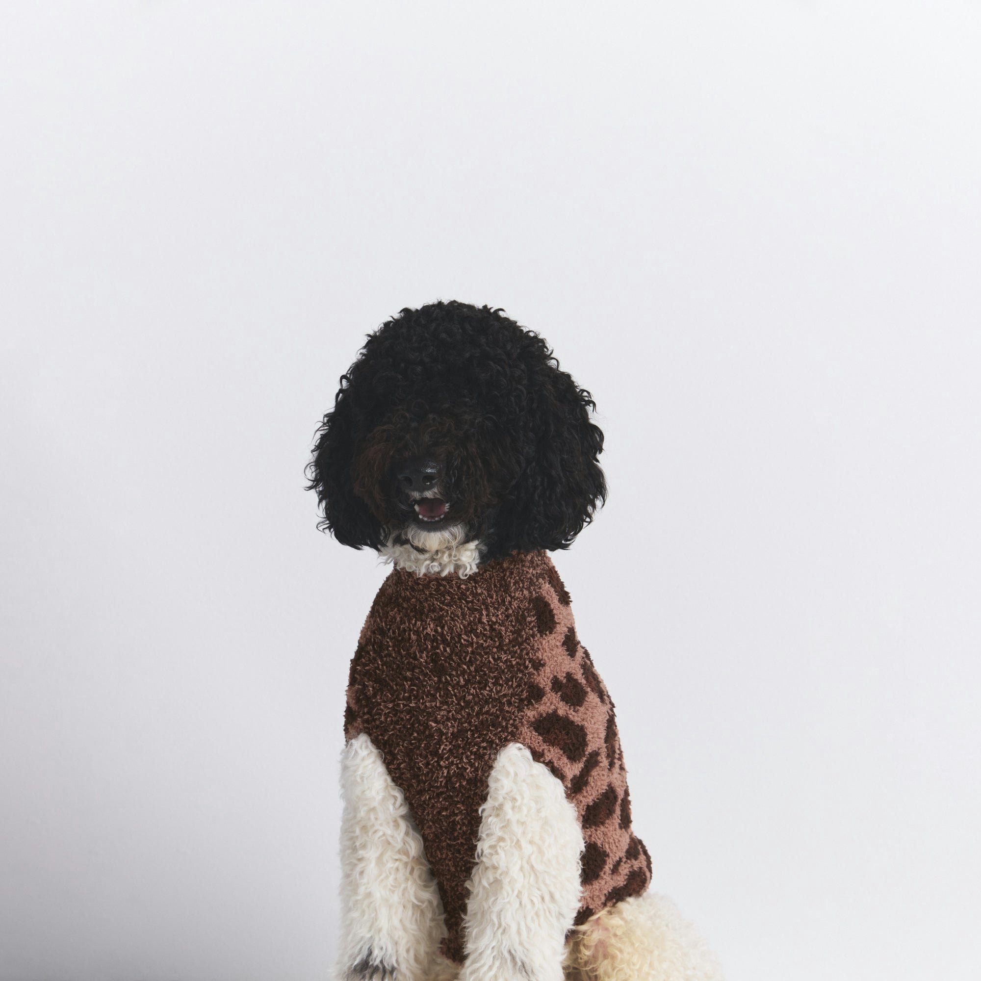 COZY KNIT PET SWEATER | SIENNA LEOPARD PRINT ON A MODEL FRONT VIEW @ | FOCUS: 0.0, 1.0, 0.9