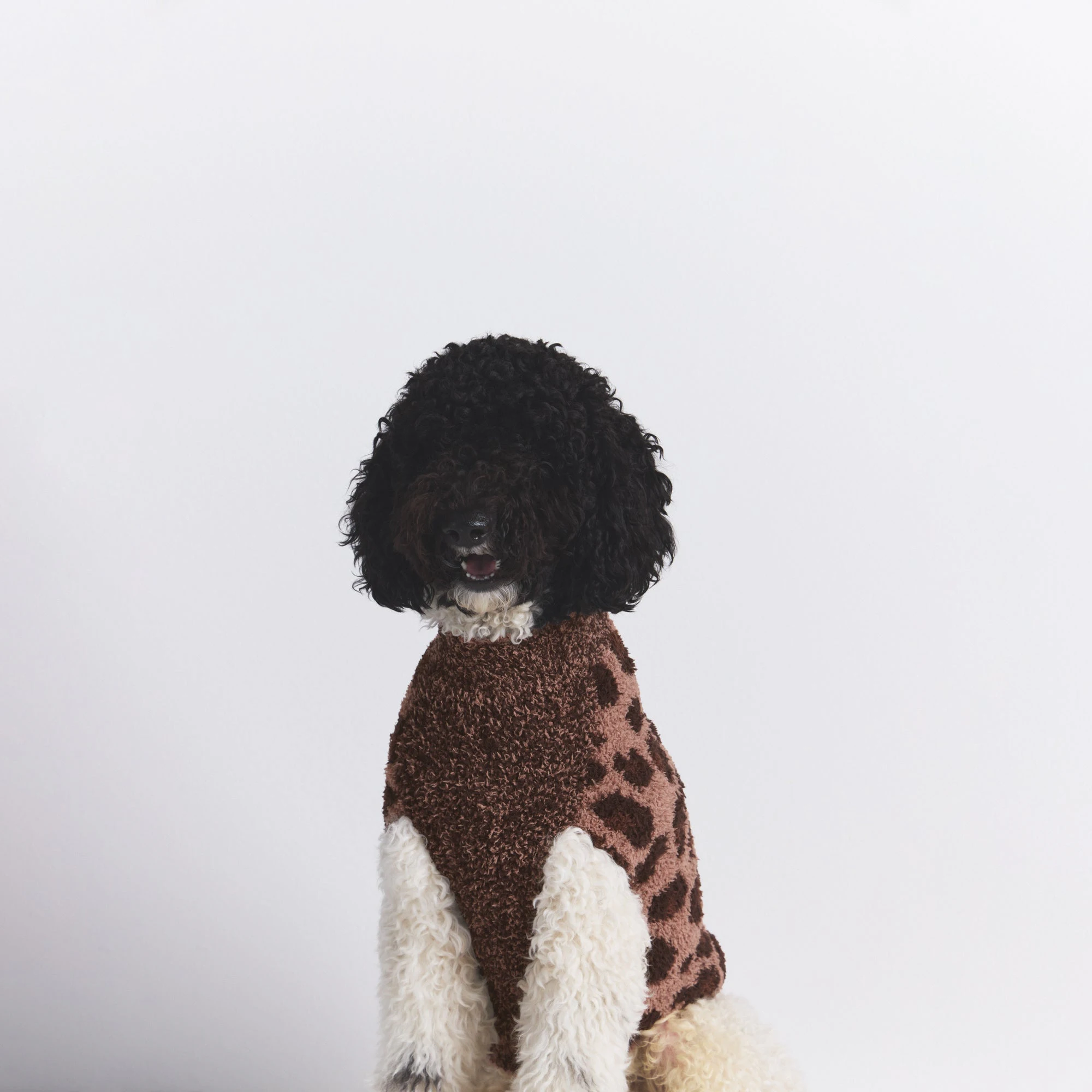 COZY KNIT PET SWEATER | LEOPARD PRINT ON A MODEL SIDE VIEW