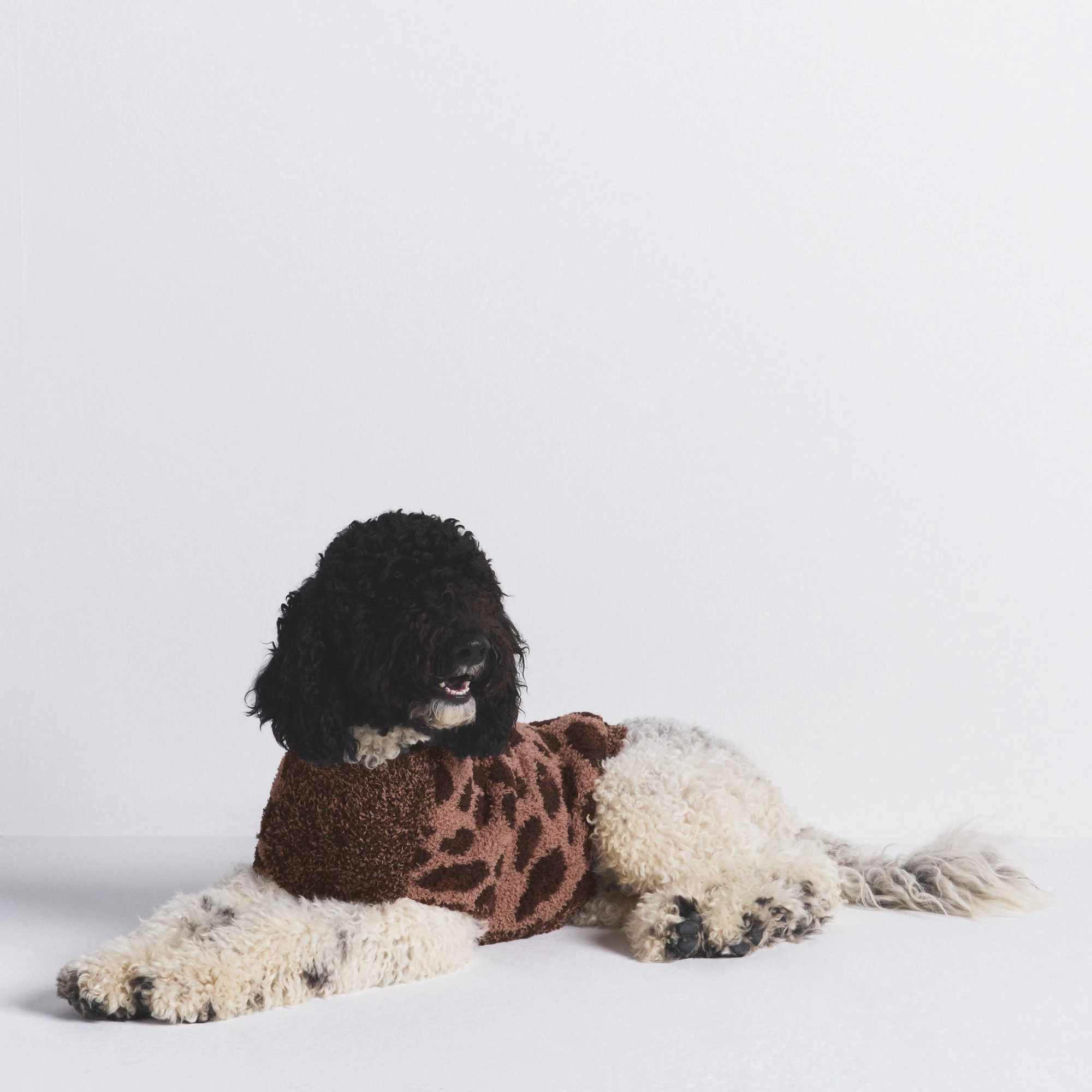COZY KNIT PET SWEATER | LEOPARD PRINT ON A MODEL SIDE VIEW