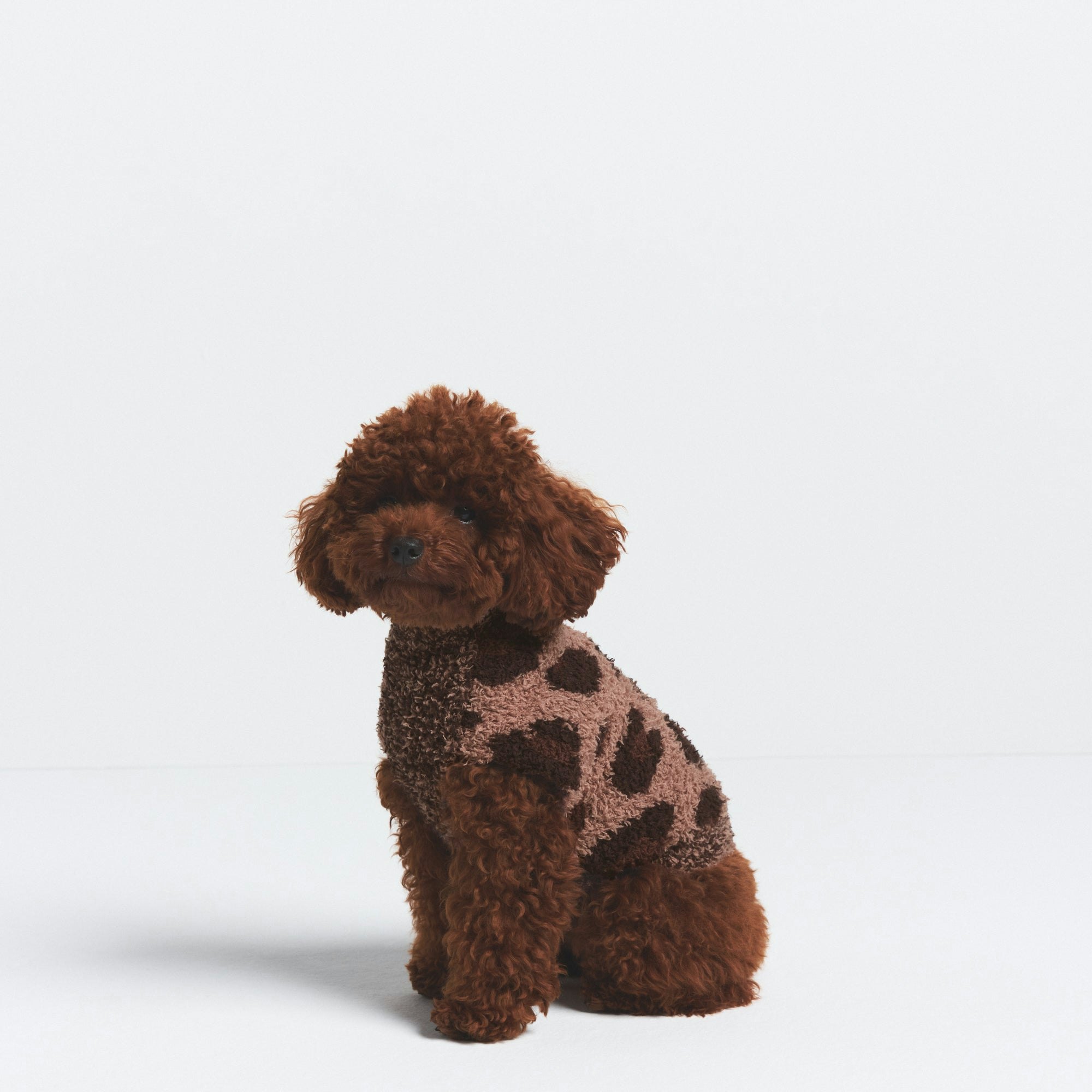 COZY KNIT PET SWEATER | SIENNA LEOPARD PRINT ON A MODEL FRONT VIEW @ | FOCUS: 0.0, 1.0, 0.9