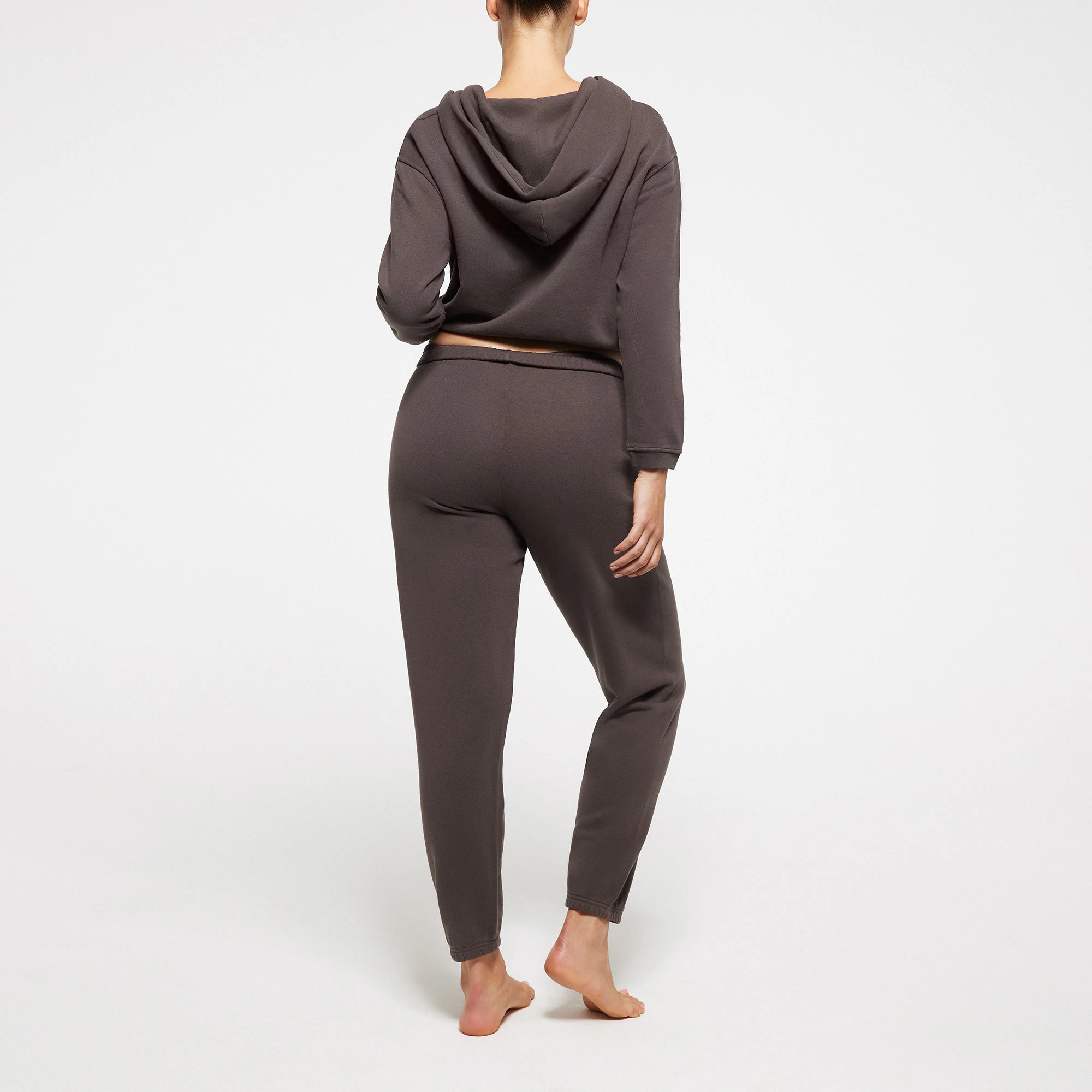 FRENCH TERRY SHRUNKEN ZIP UP HOODIE | IRON ON A MODEL BACK VIEW